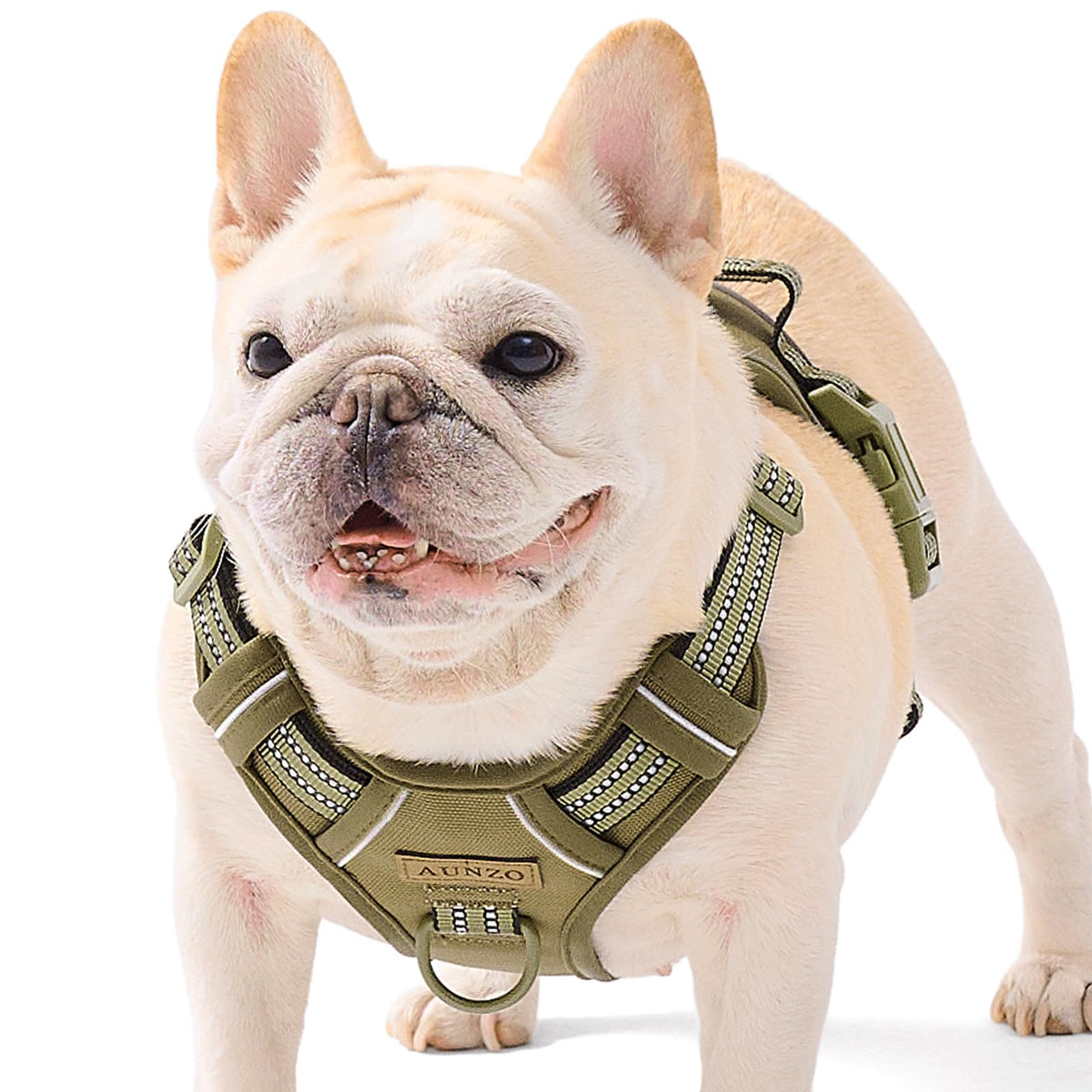 Aunzo No-Pull Adjustable Dog Harness For Small Dogs, Easy Control With Handle, Havanese Chihuahua Puggle, Inescapable, Ez Walkin