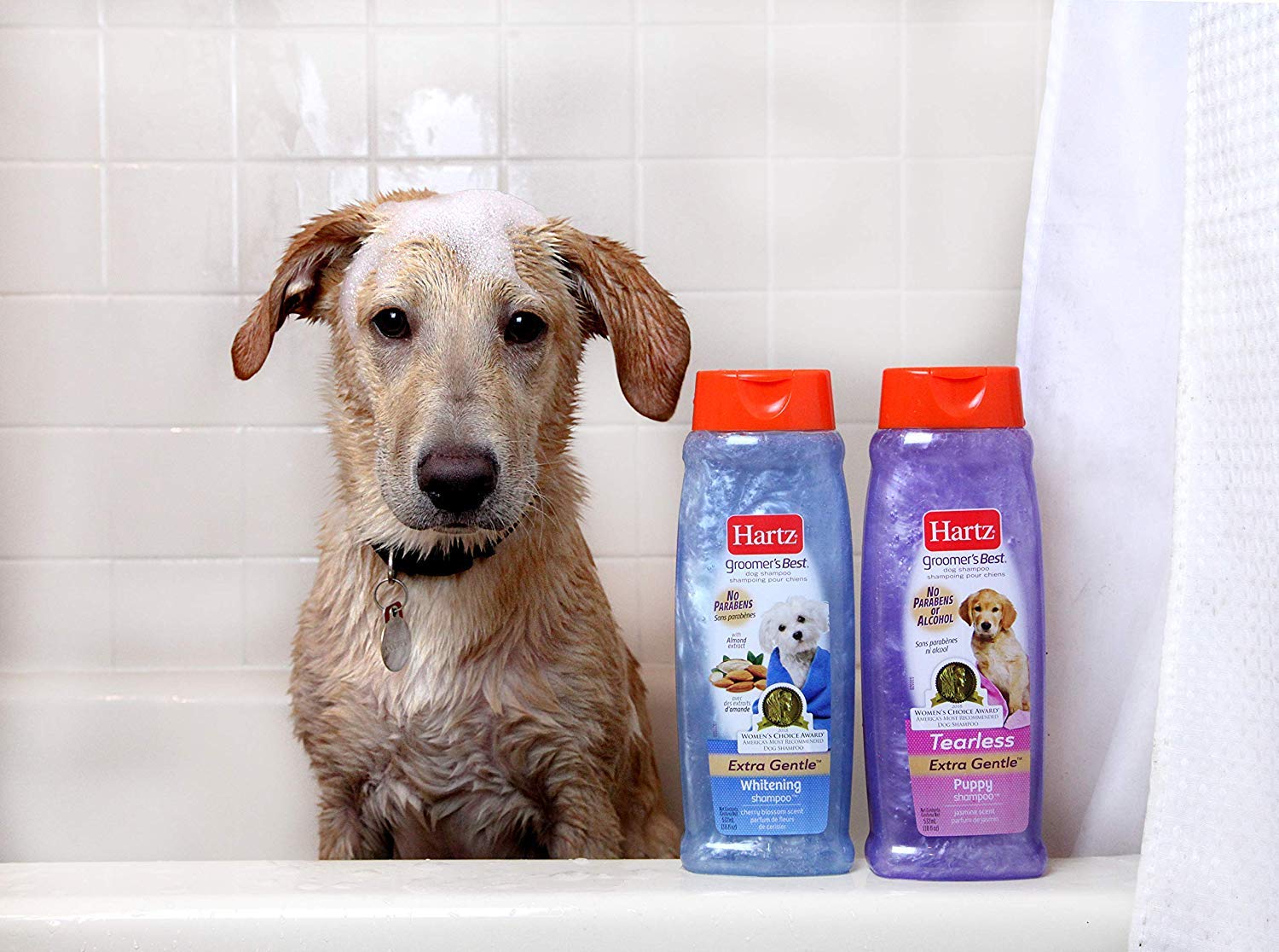Hartz Groomer'S Best Whitening Dog Shampoo, 18 Ounce Bottle