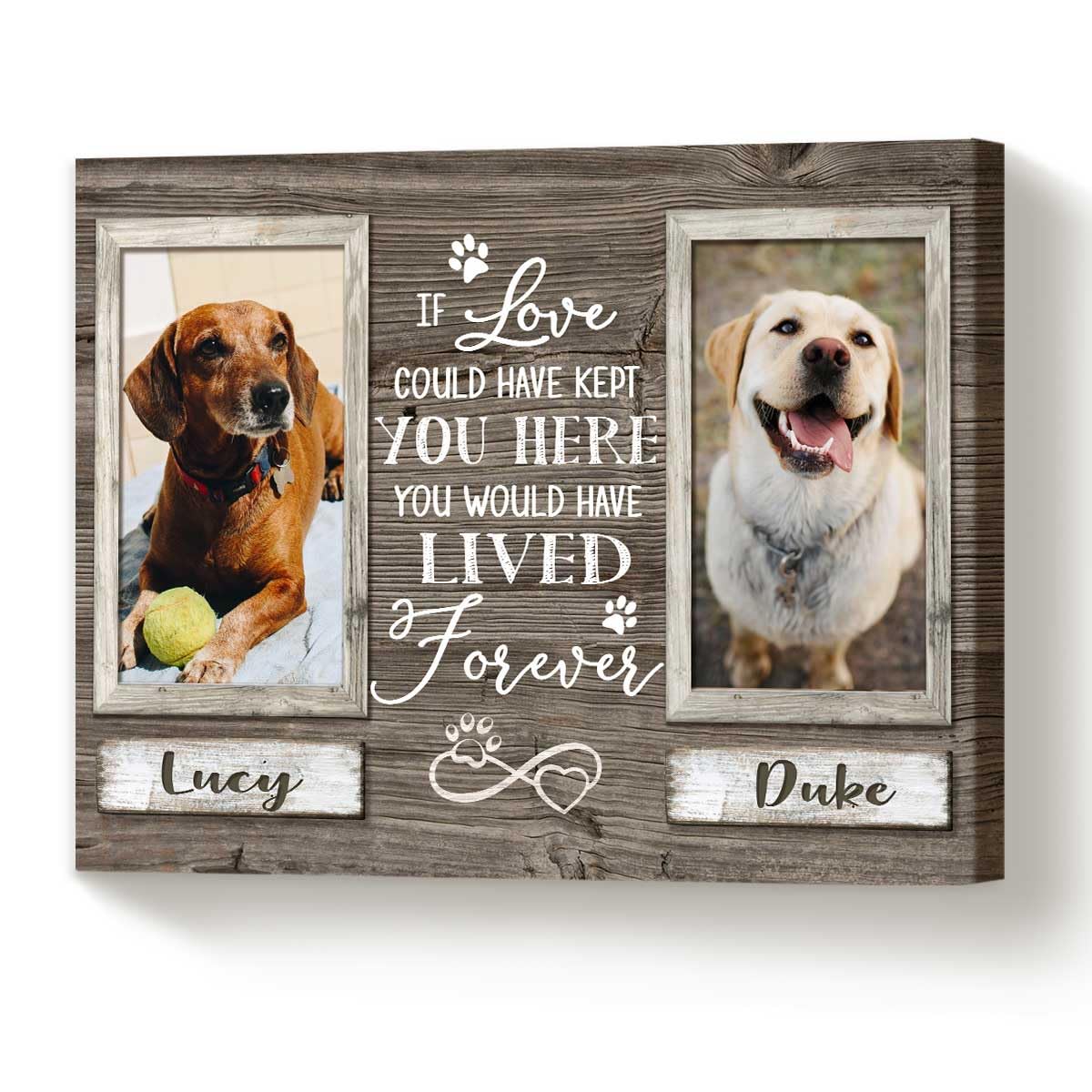 Benicee Shop Pet Memorial Gifts, Sympathy Gifts For Pet Loss, Double Picture Canvas Frame, Gift For 2 Pets