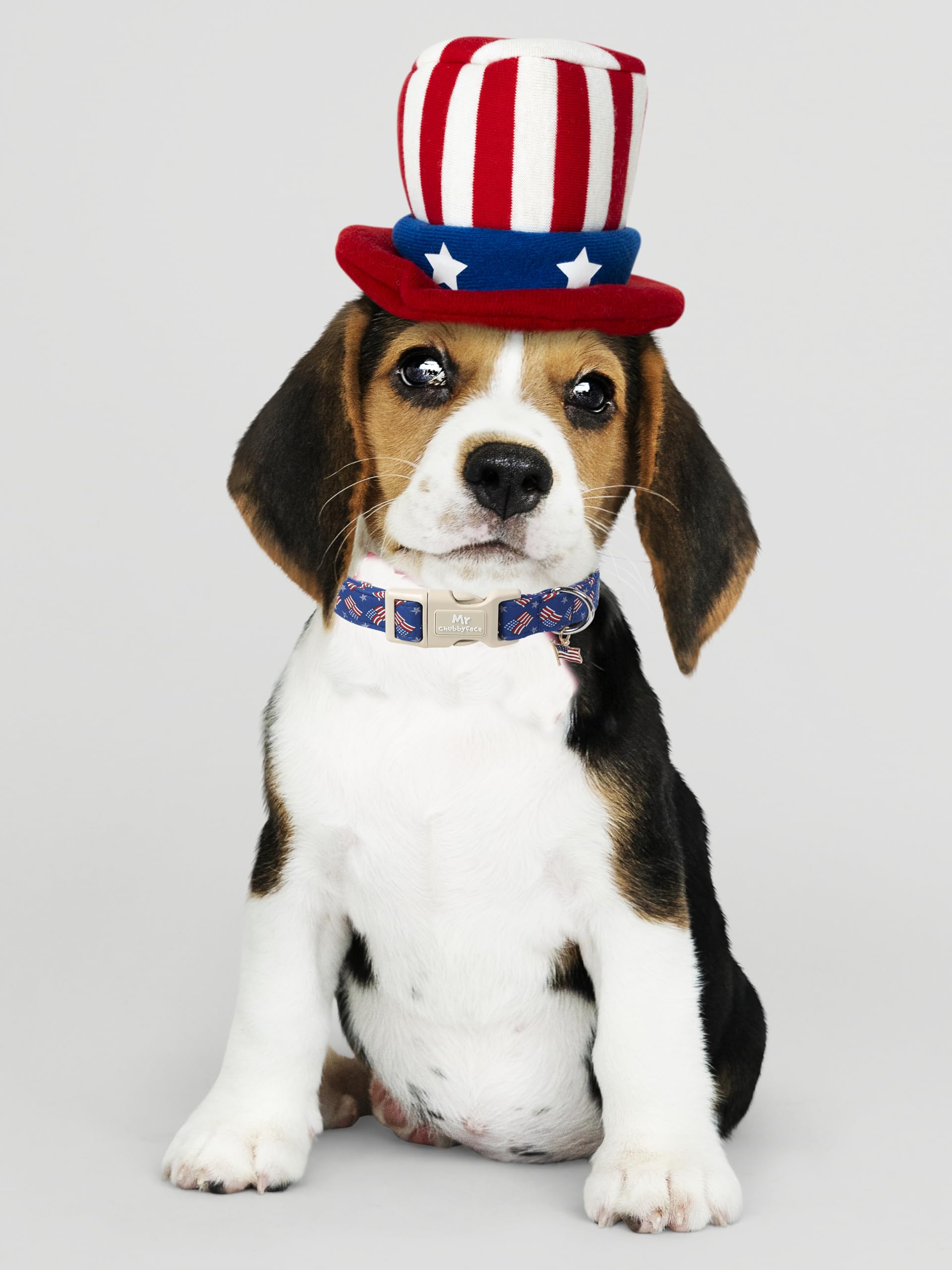 Mr.Chubbyface American Flag Dog Collar, 4Th Of July Puppy Collar With Plastic Buckle, Patriotic Puppy Collar For Small Medium La