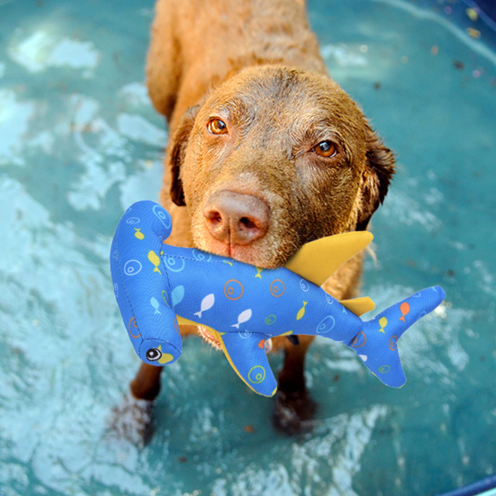 Bingpet Floating Fetch Pool Toy For Dogs,2 Pack Squeaky Shark Water Toys Pet Chew Toy For Summer Pool Playing Games,Interactive
