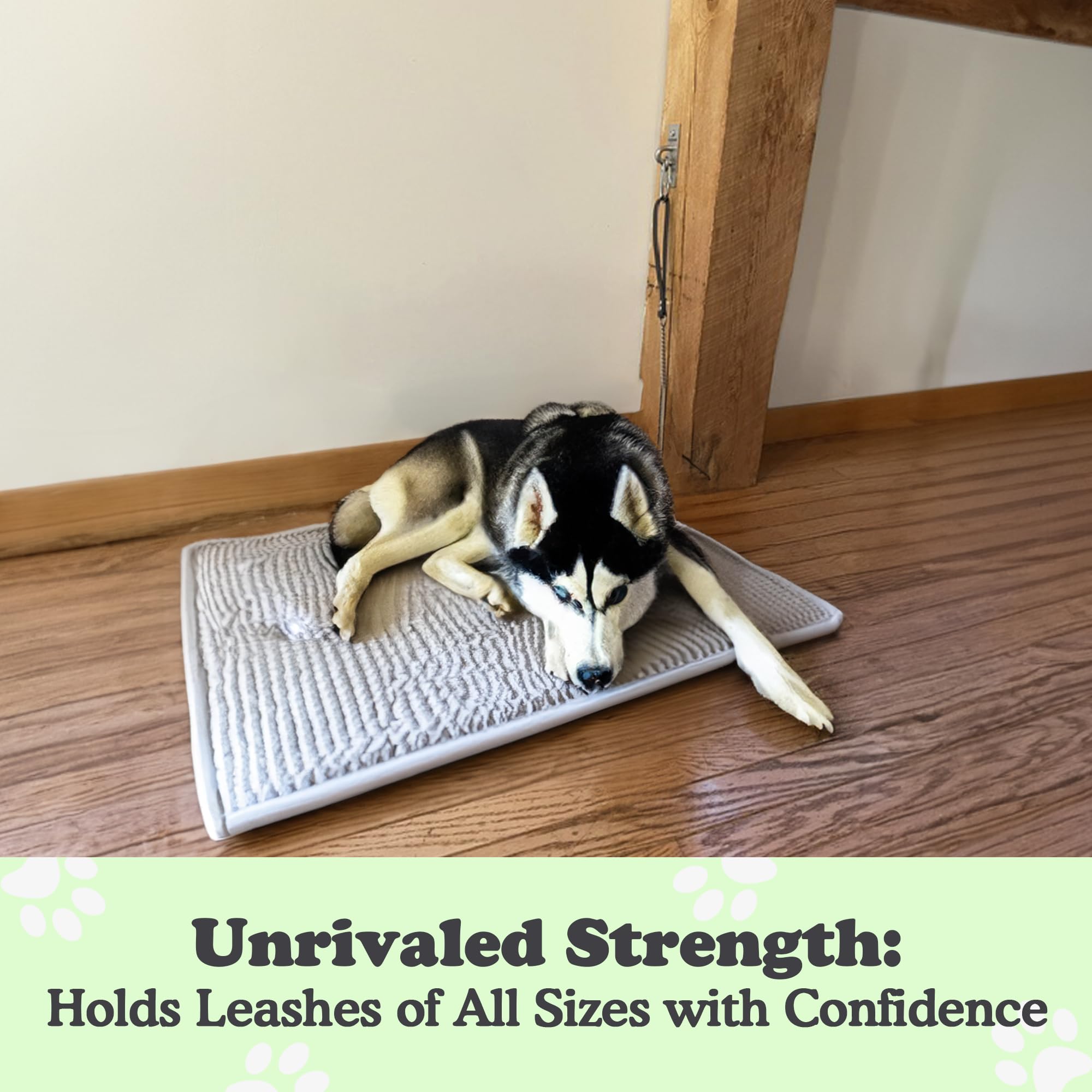 Canine Hitch- Secure Dog Leash Parking Wall Slim Hook With Clip 6 Pack - Tie Out Stainless Steel & Abs Mounting Plate For Streng