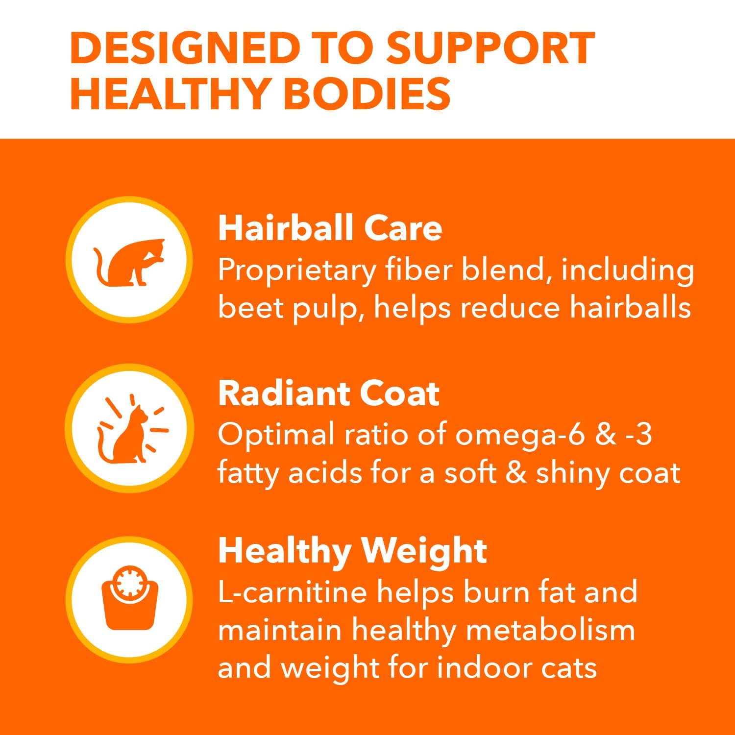 Iams Proactive Health Salmon Dry Cat Food, 16 Lb Bag