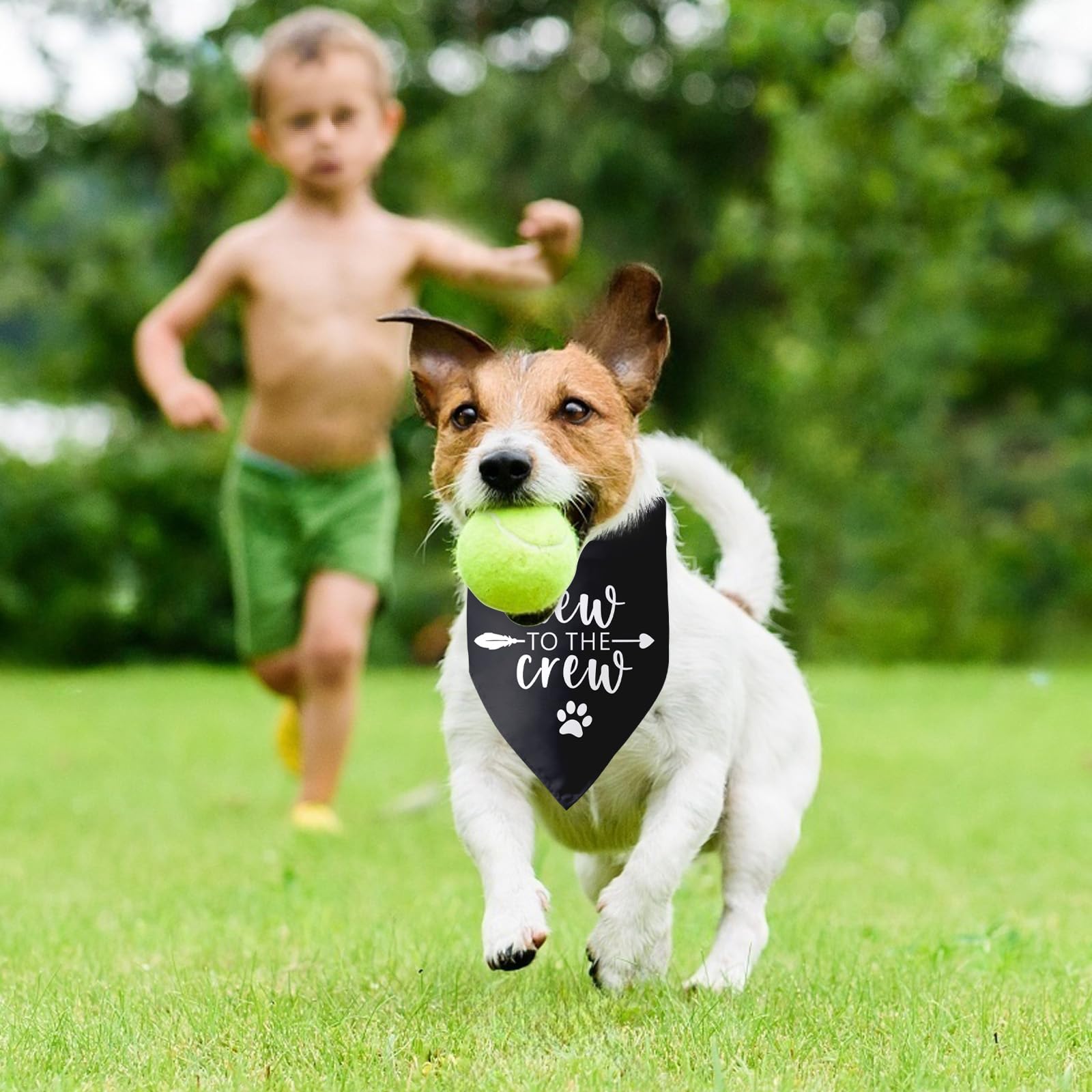 New to The Crew Dog Bandana New Puppy Announcement Gift for New Owners New Puppy Gift New Dog Announcement Photo Props Accessori