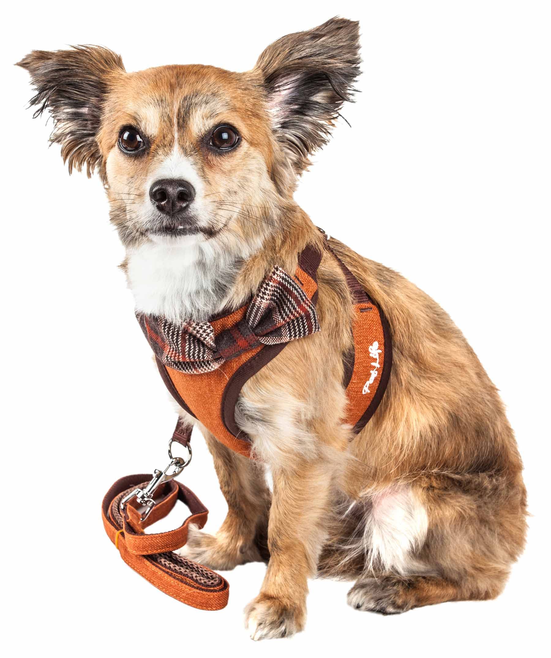 Pet Life    Luxe Pawsh 2-In-1 Mesh Reversed Adjustable Dog Harness-Leash W/Fashion Bowtie, X-Small, Orange