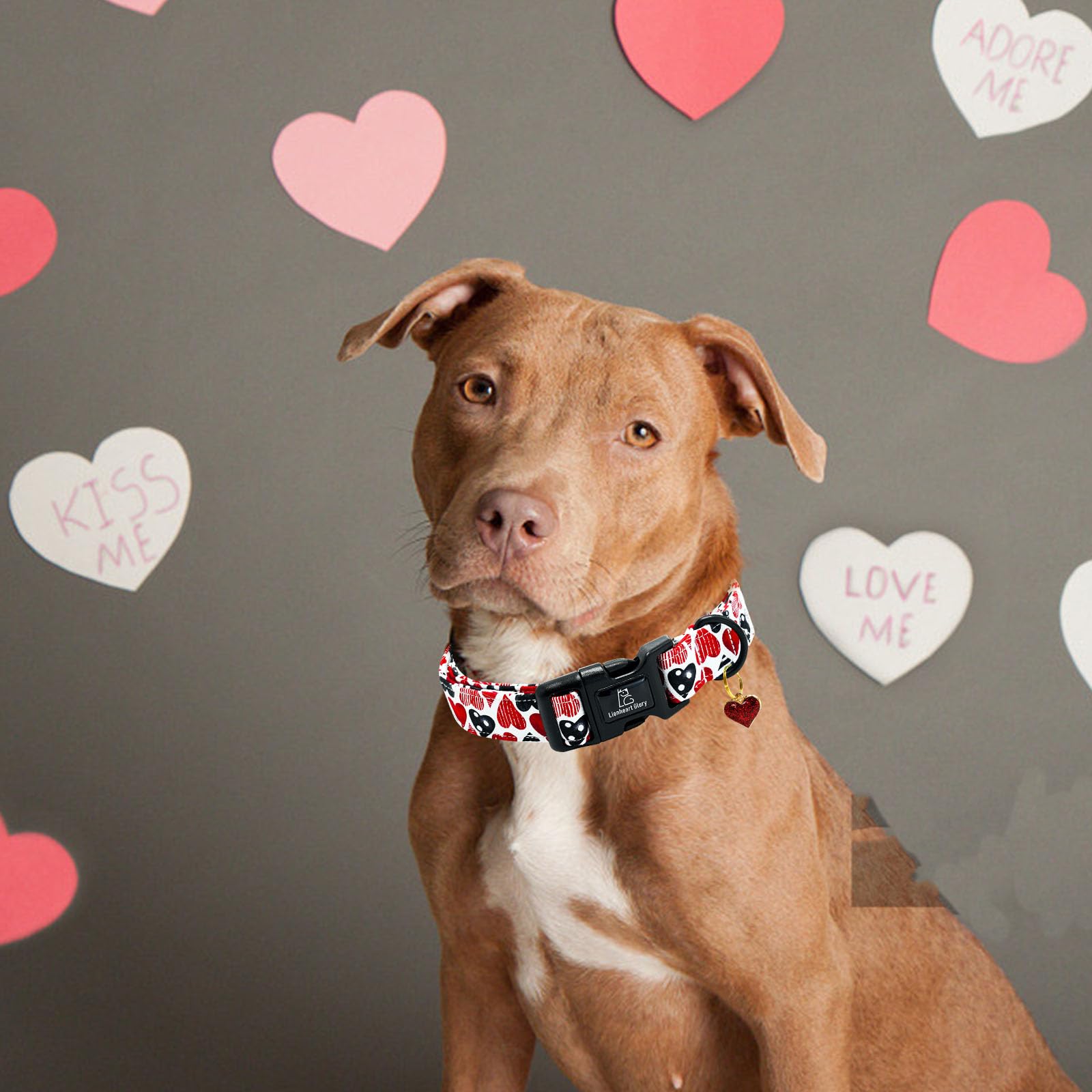Lionheart Glory Valentine Collar-Red Hearts Dog Collar For X-Small Cute Dog Collars Spring Female Male Pet Gift Adjustable Heavy