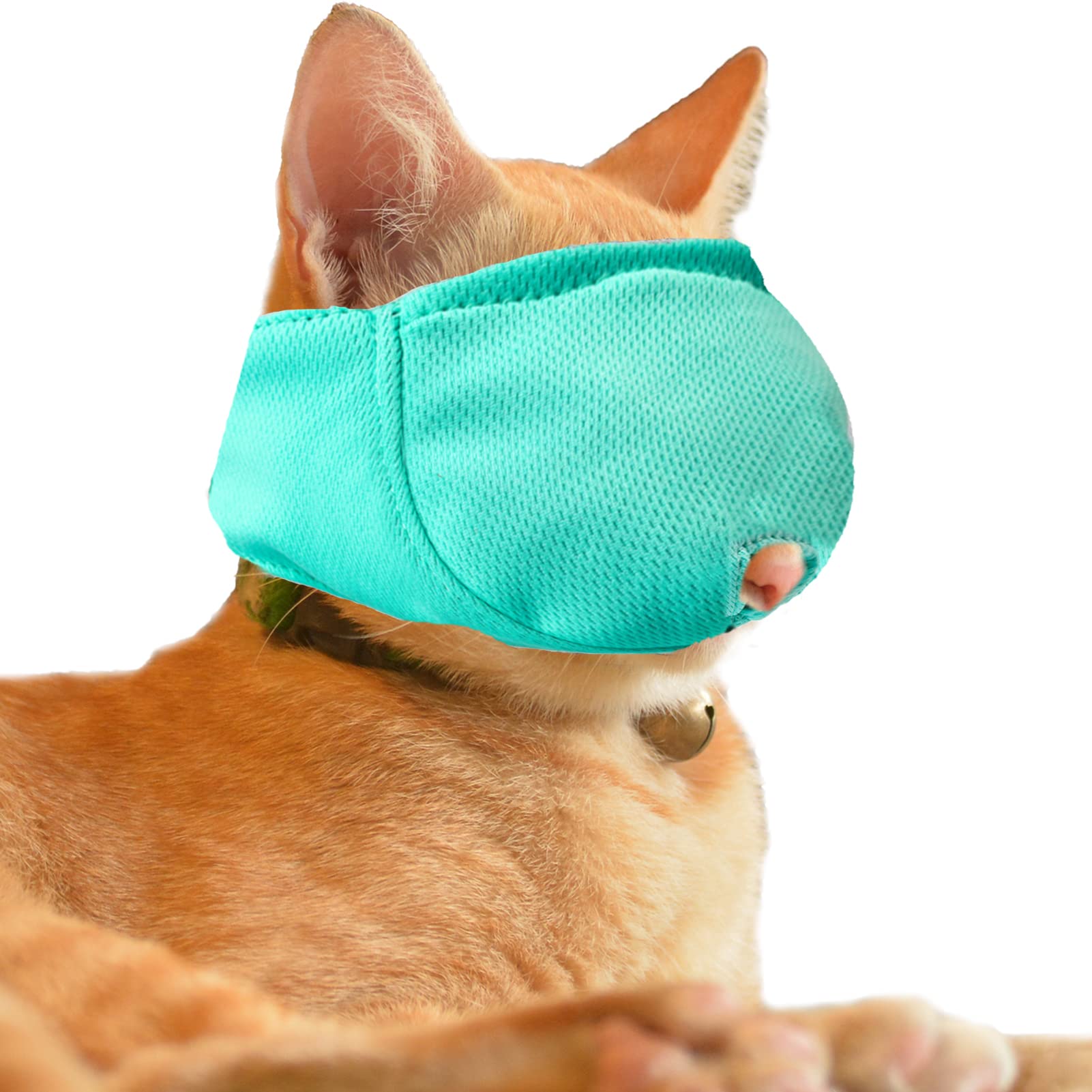 Wintchuk Cat Muzzle With Breathable Mesh, Cat Mouth Guard Muzzle For Prevent Biting Chewing Grooming,Anti Scratch (L,Green)