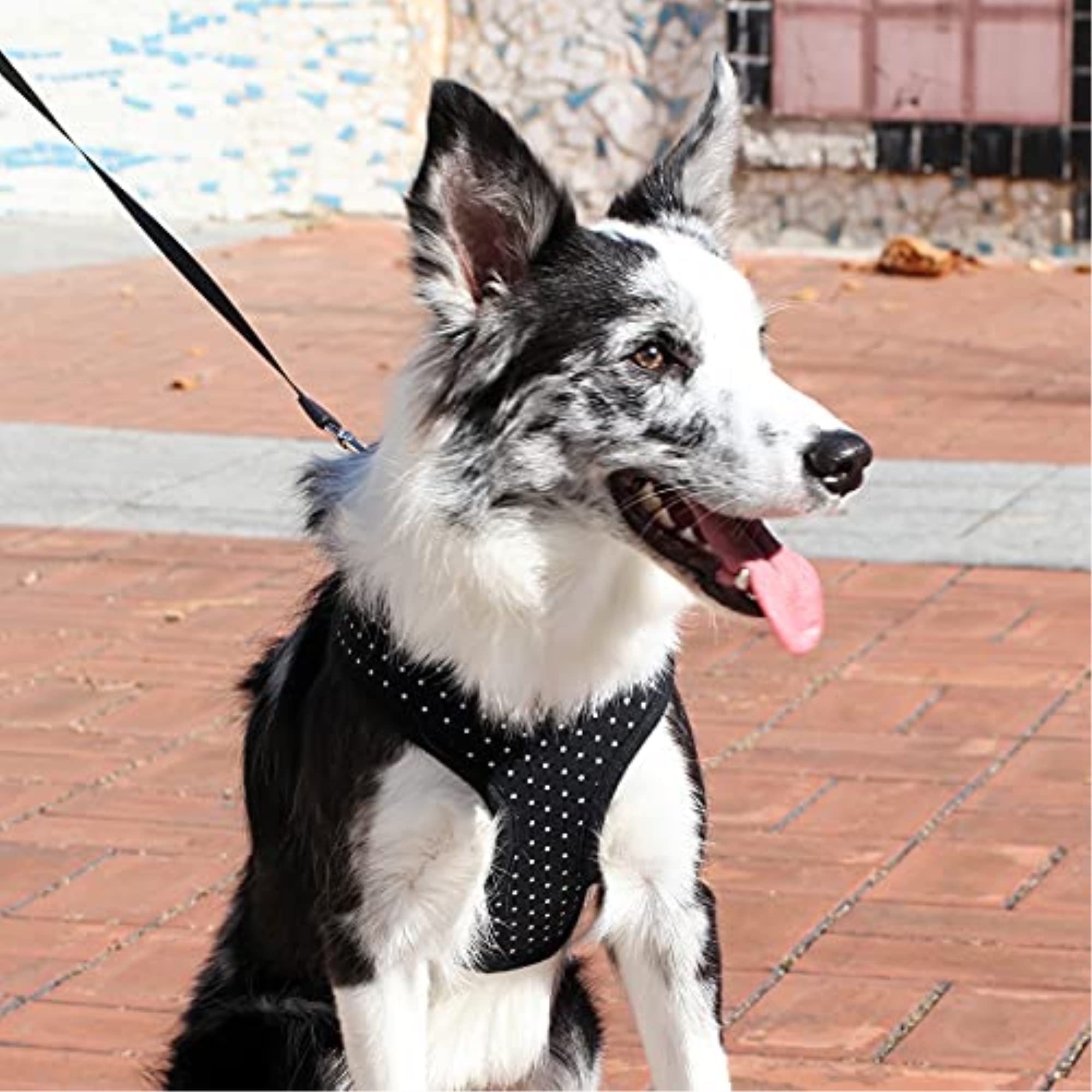 Puppia Dotty Dog Harness Over-The-Head No Pull No Choke Walking Training Adjustable For Small & Medium Dog, Large, Black