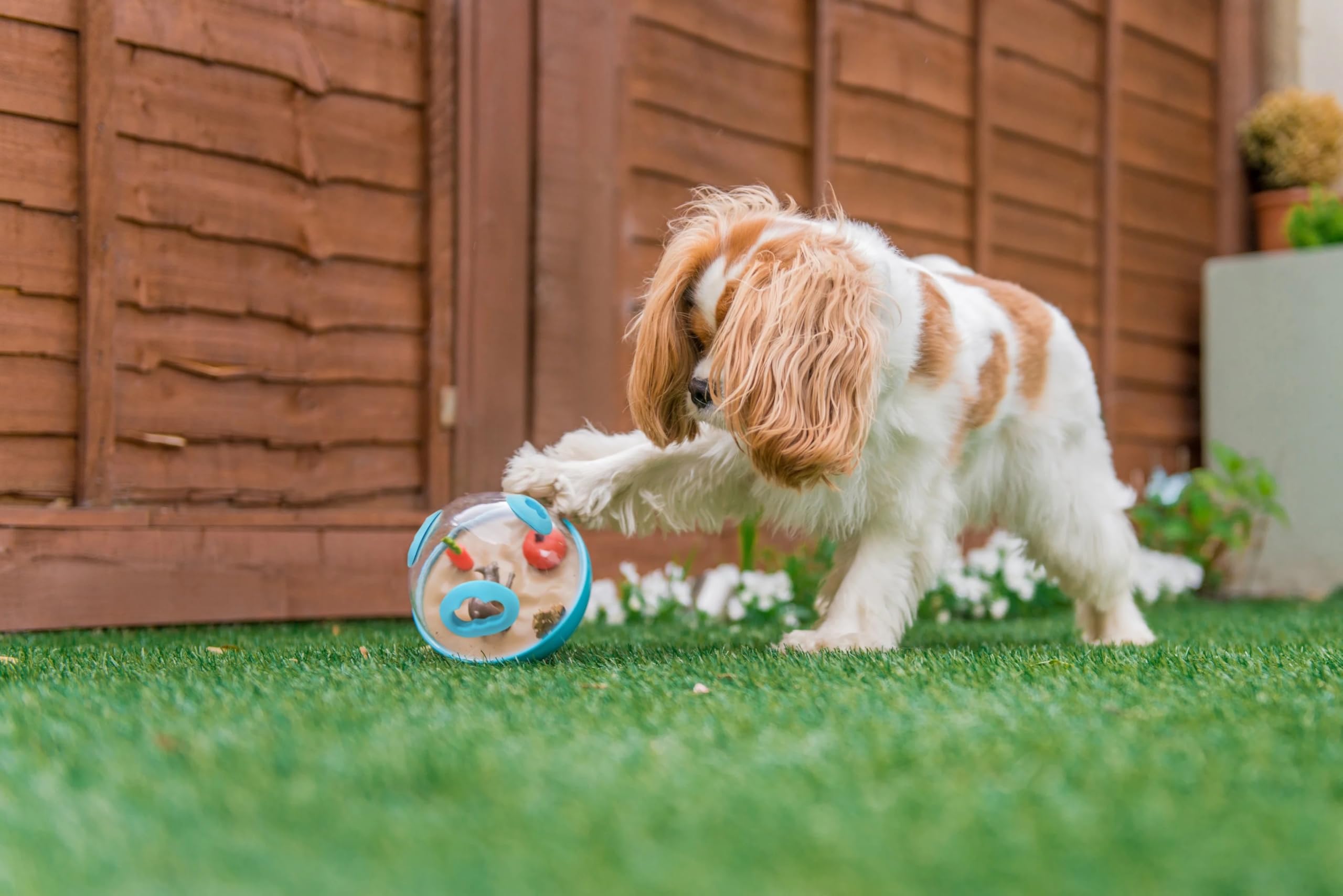 Wobble Ball Interactive Food & Treat Dispensing Puzzle Toy for Puppies & Dogs - Slow Feeder, Mental Enrichment, Forage Skills, T