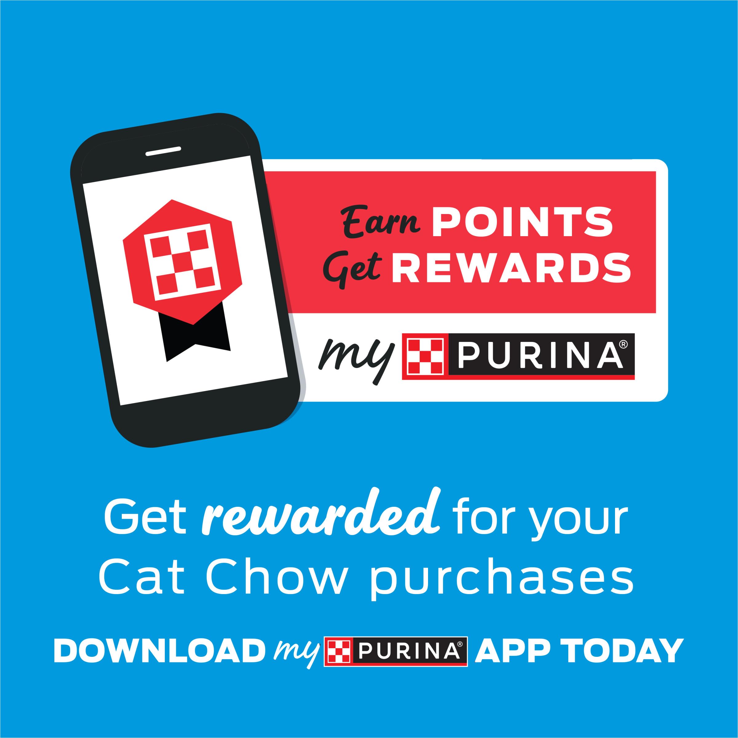 Purina Cat Chow Gentle Dry Cat Food, Sensitive Stomach + Skin - (Pack of 4) 3.15 lb. Bags