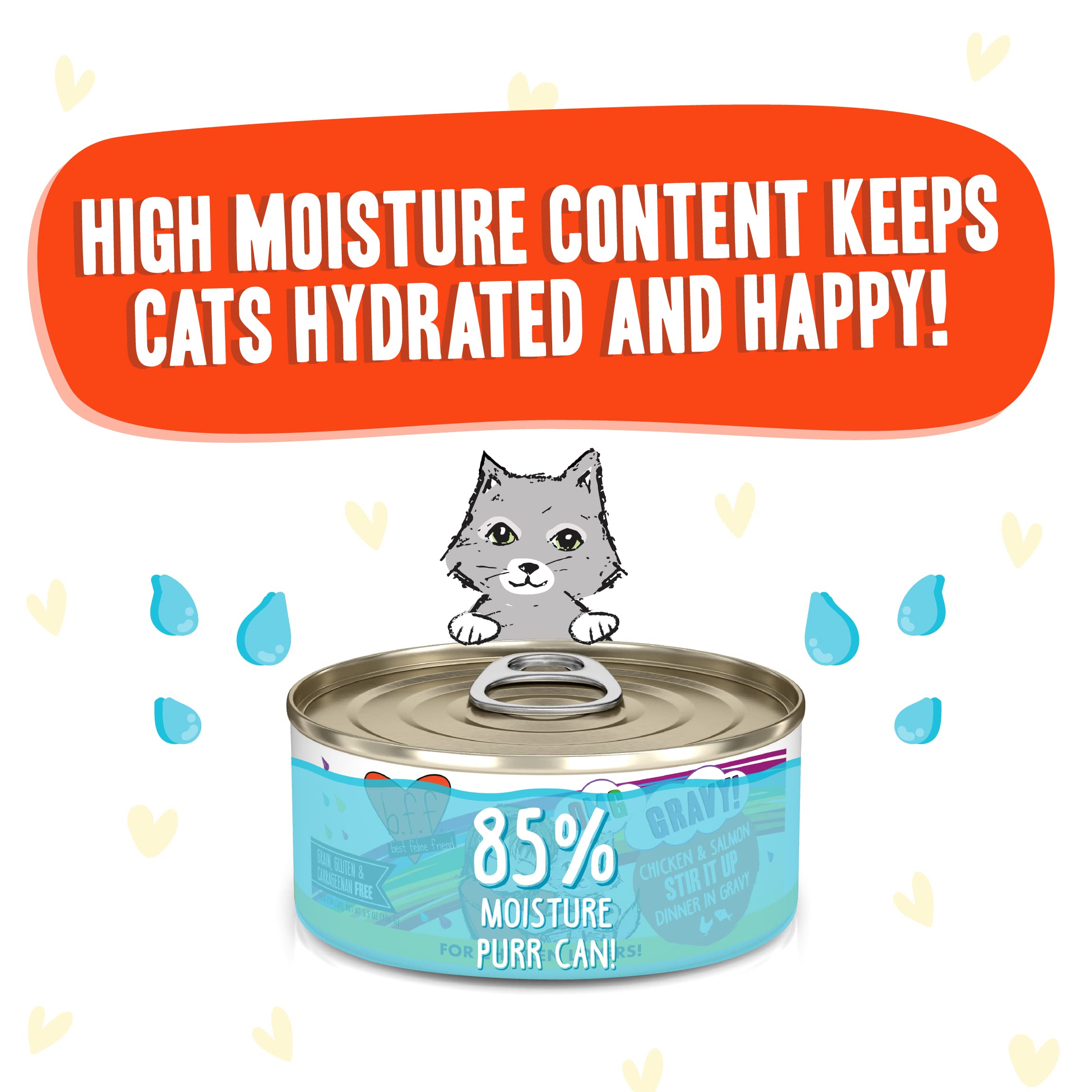 Weruva B.F.F. OMG - Best Feline Friend Oh My Gravy!, Chicken & Salmon Stir It Up with Chicken & Salmon in Gravy, 5.5oz Can (Pack