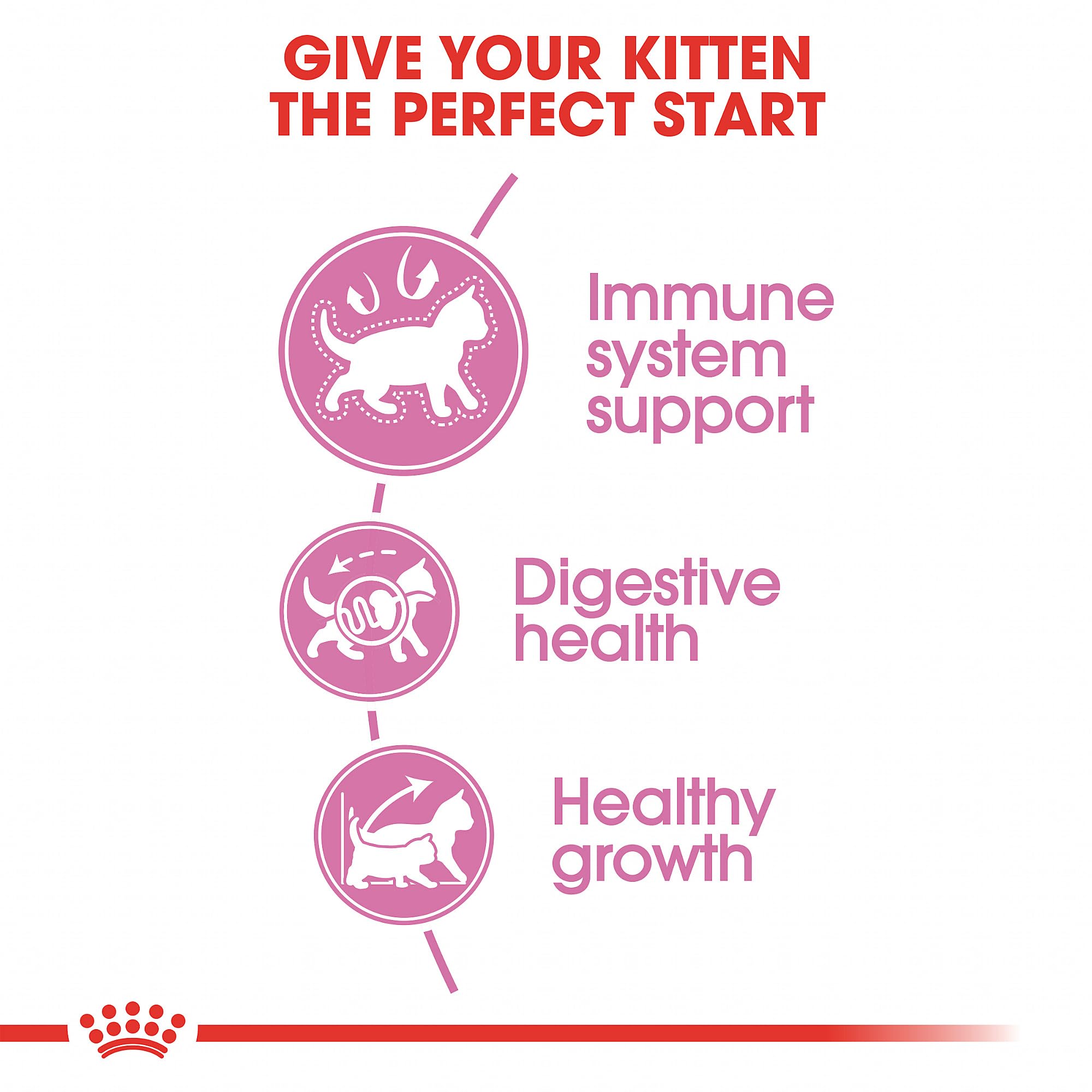 Royal Canin Feline Health Nutrition Kitten Dry Cat Food, 7 lb bag