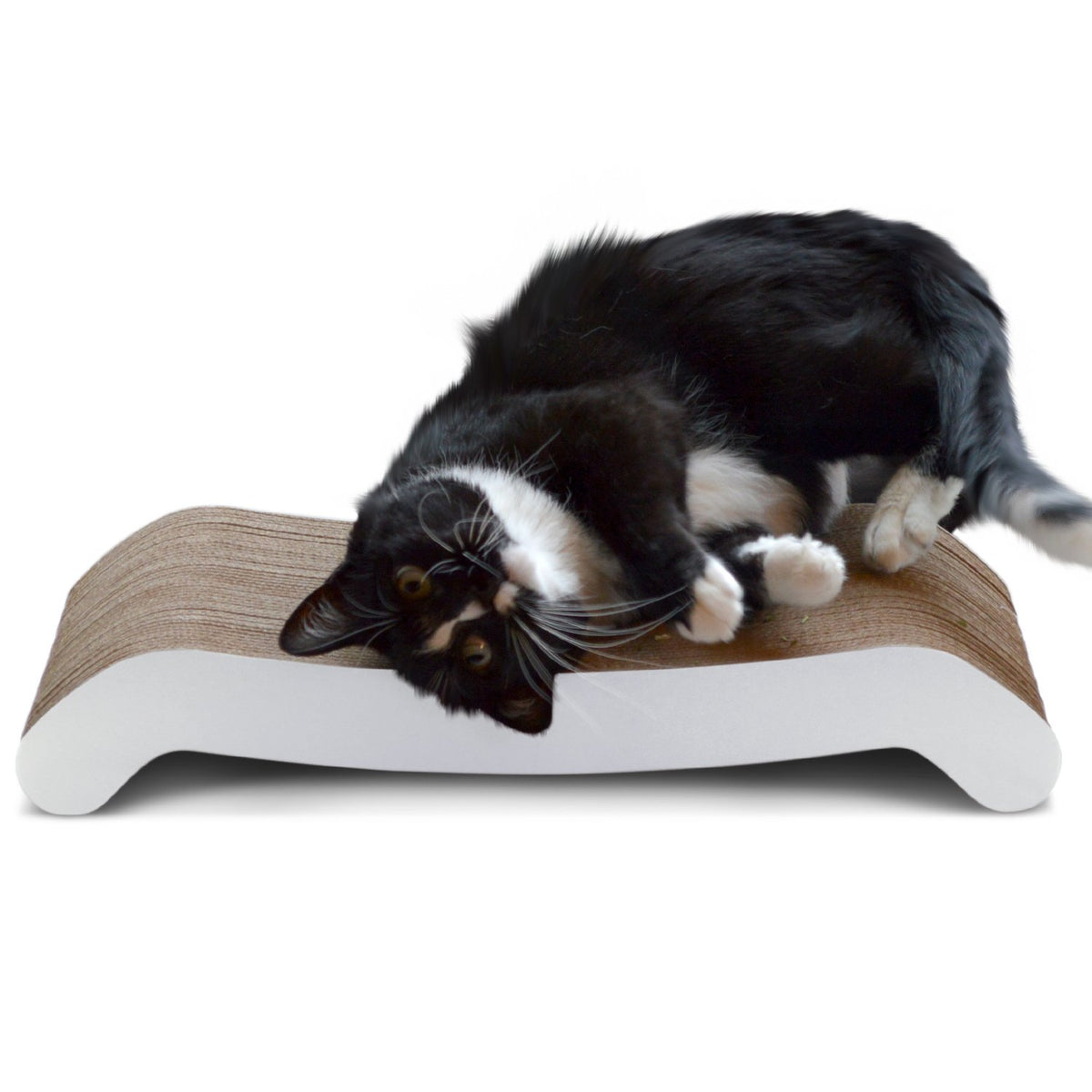 Petfusion Cat Scratching Flip Pad - 2 Designs In One. [Superior Cardboard & Construction, Significantly Outlasts Cheaper Alternatives]