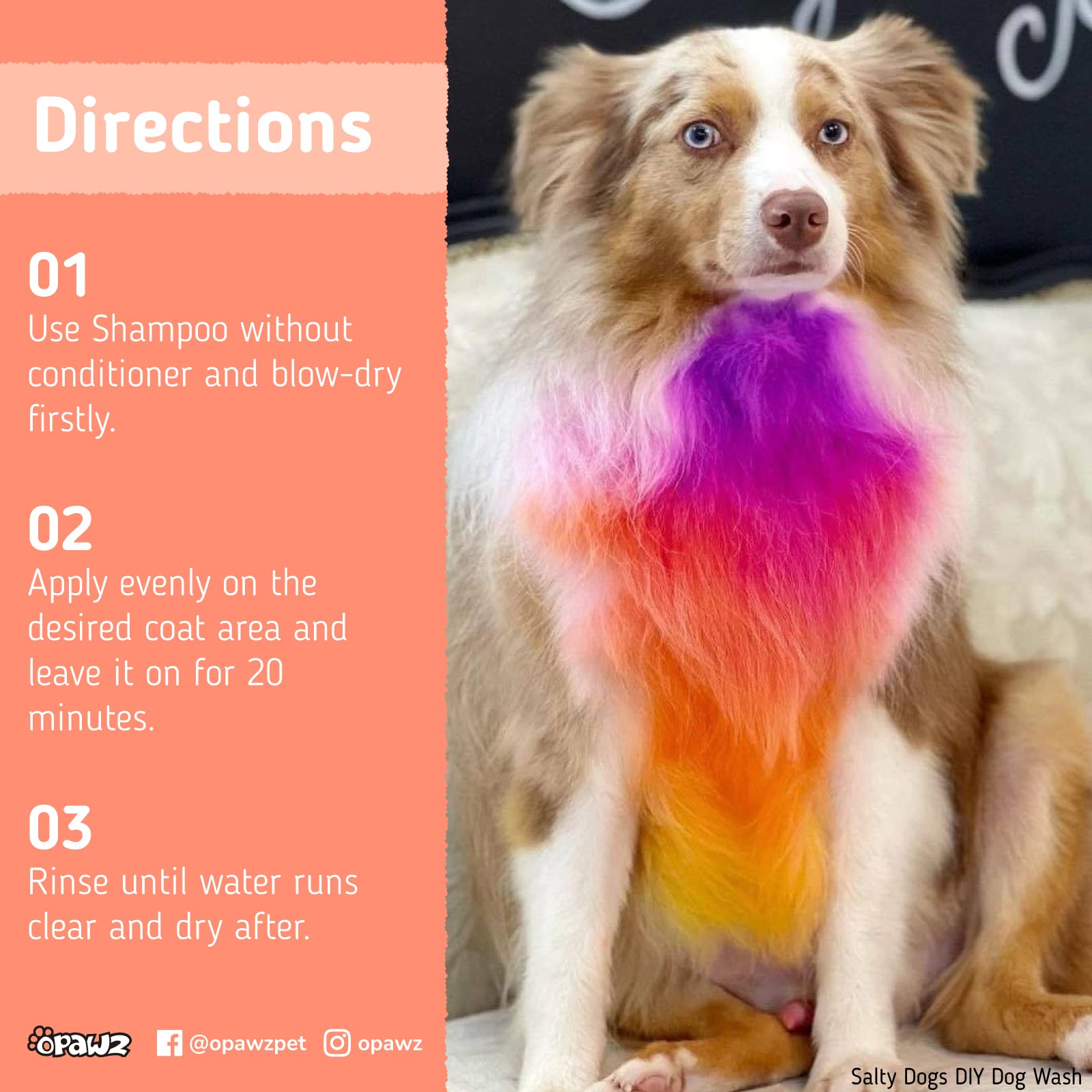 OPAWZ Semi-Permanent Dog Hair Dye, Food-Grade Pigment Dog Dye, Non-Toxic Pet Hair Dye for Dogs, Cats and All Pets Can be Bathed