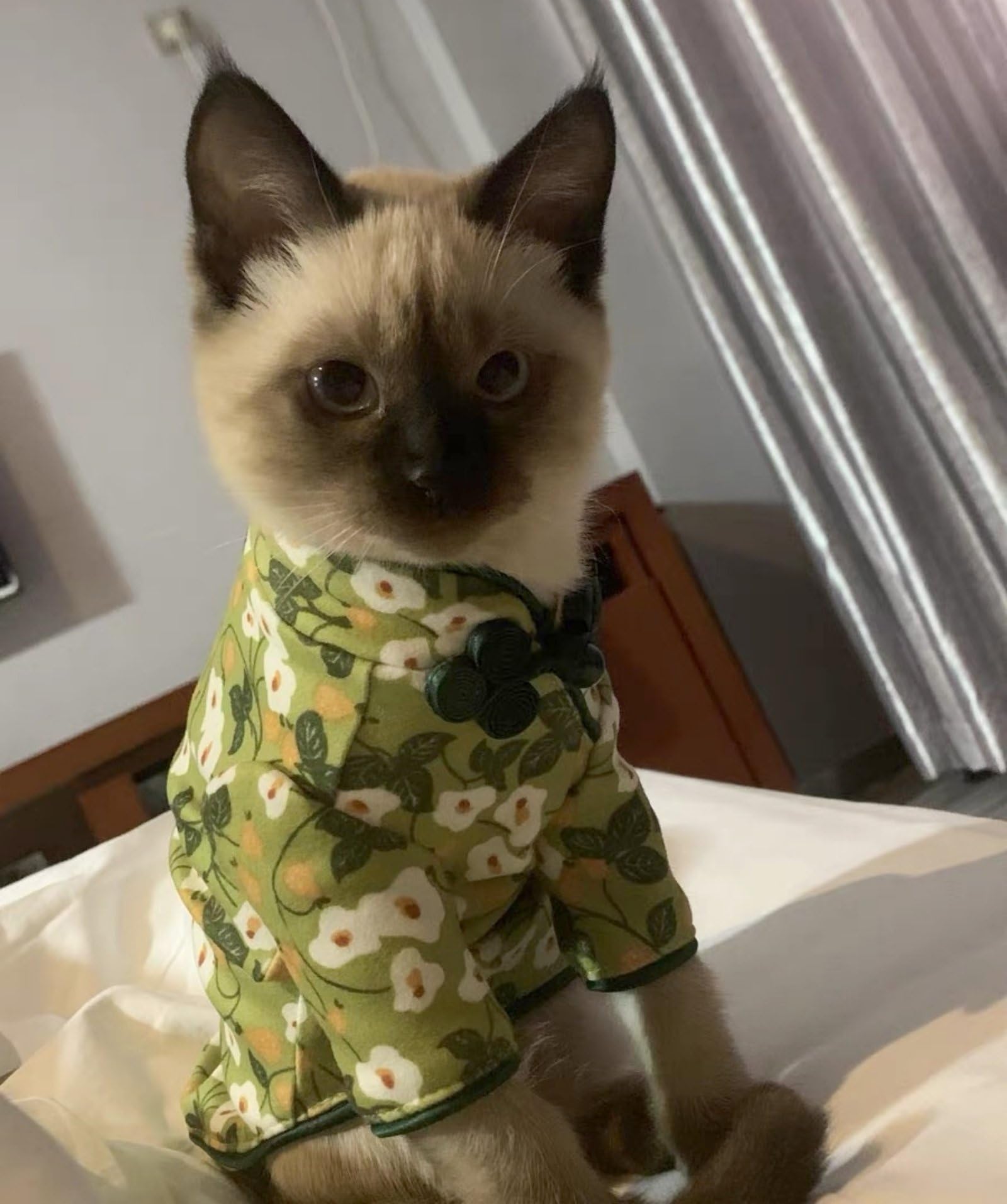 Traditional Culture Sphynx Hairless Cat Cotton T-Shirts Cat Clothes Pet Sweater Cat Vest Pet Clothes Kitten Shirts Cats & Small