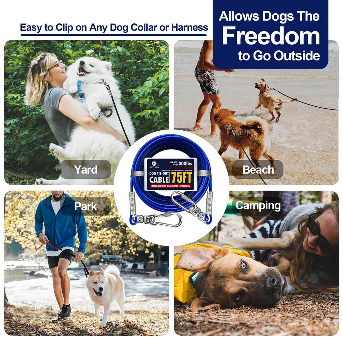 Tie Out Cable For Dogs Up To 300Lbs, 50Ft 65Ft 75Ft Extra Strong 1Klbs Break Strength Tie-Out Tether Trolley Training Lead,Dog Run Cable For Yard Garden Park Camping Outside (75Ft)