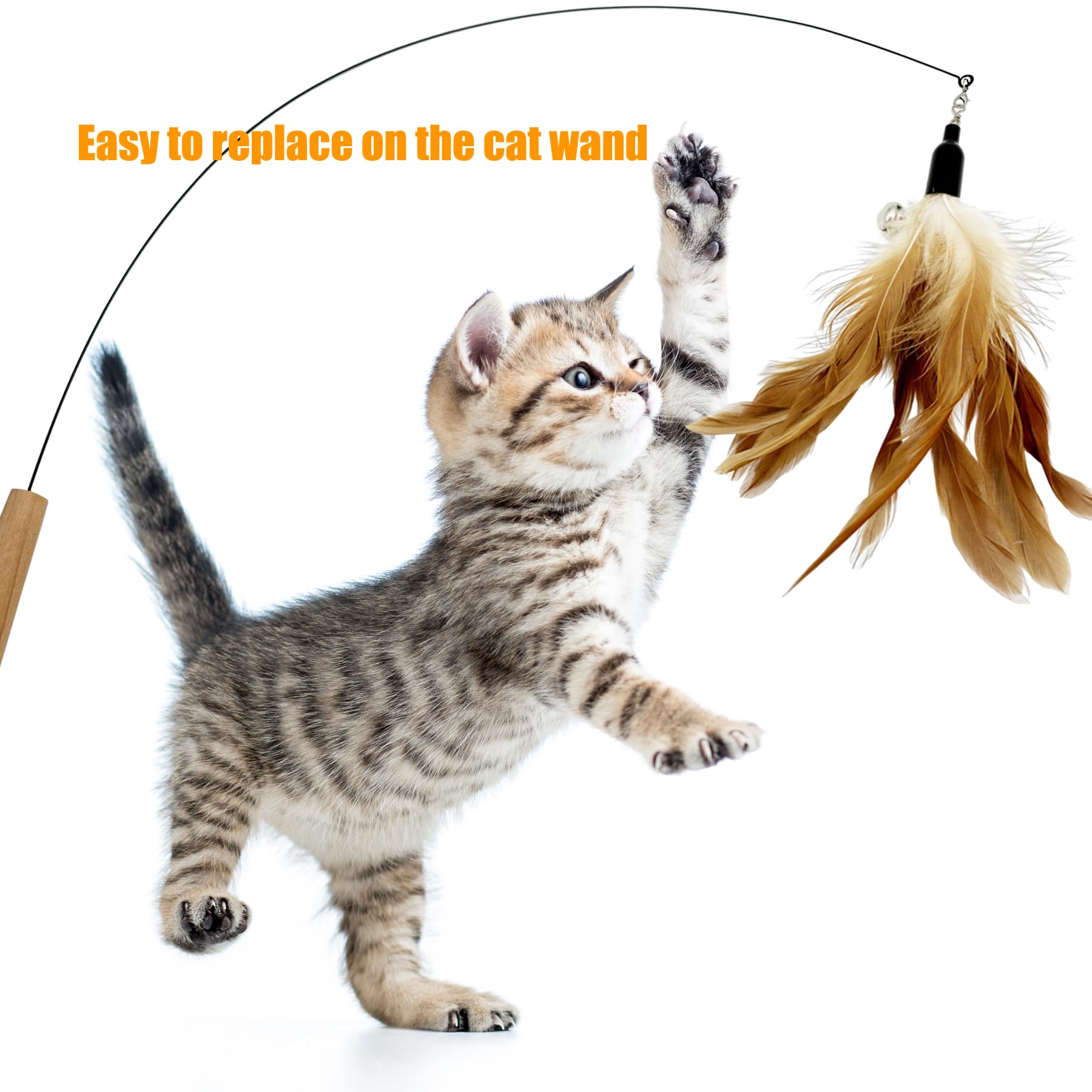 Cateneed Cat Feather Toys Refill, 16 Pieces Cat Wand Replacement Feathers Toy For Indoor Cats