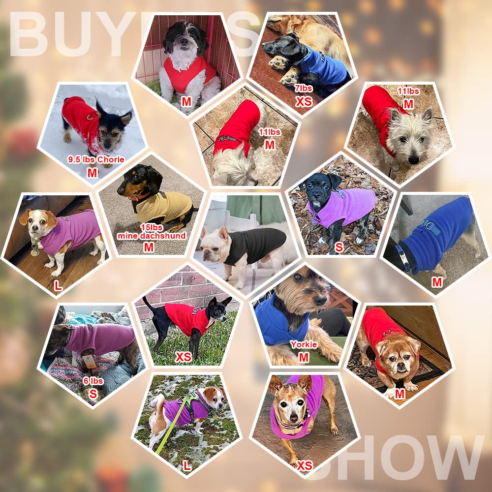 Beautyzoo Dog Fleece Vest Sweater Winter Jacket For Small And Medium Dogs With D-Ring Leash Cold Weather Coat Hoodie For Xs S M Dogs Boy Or Girls