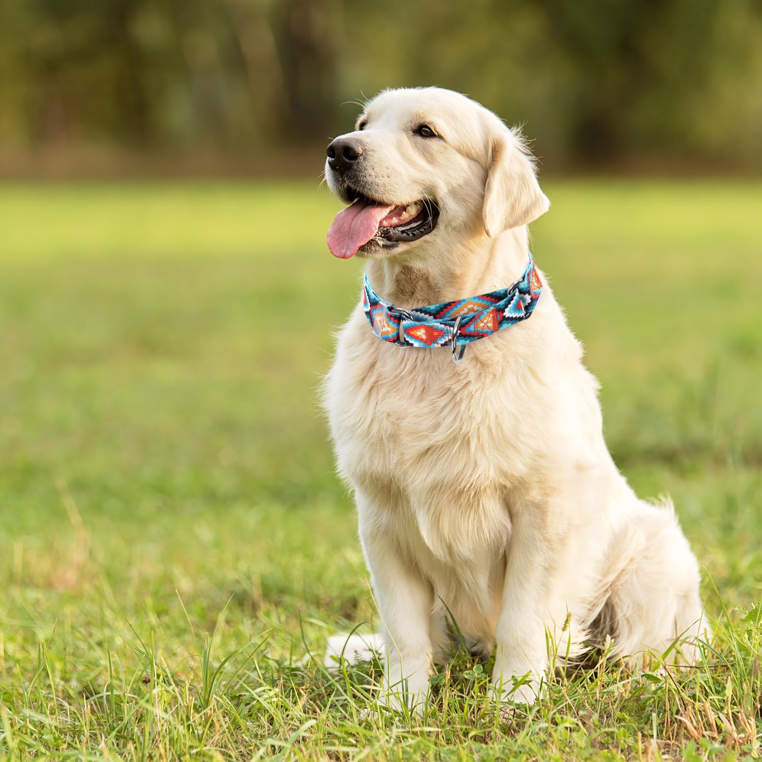 Martingale Collar For Dogs Adjustable Heavy Duty Training Collars With Blue African Tribal Mexican Native Boho Pattern, No Slip