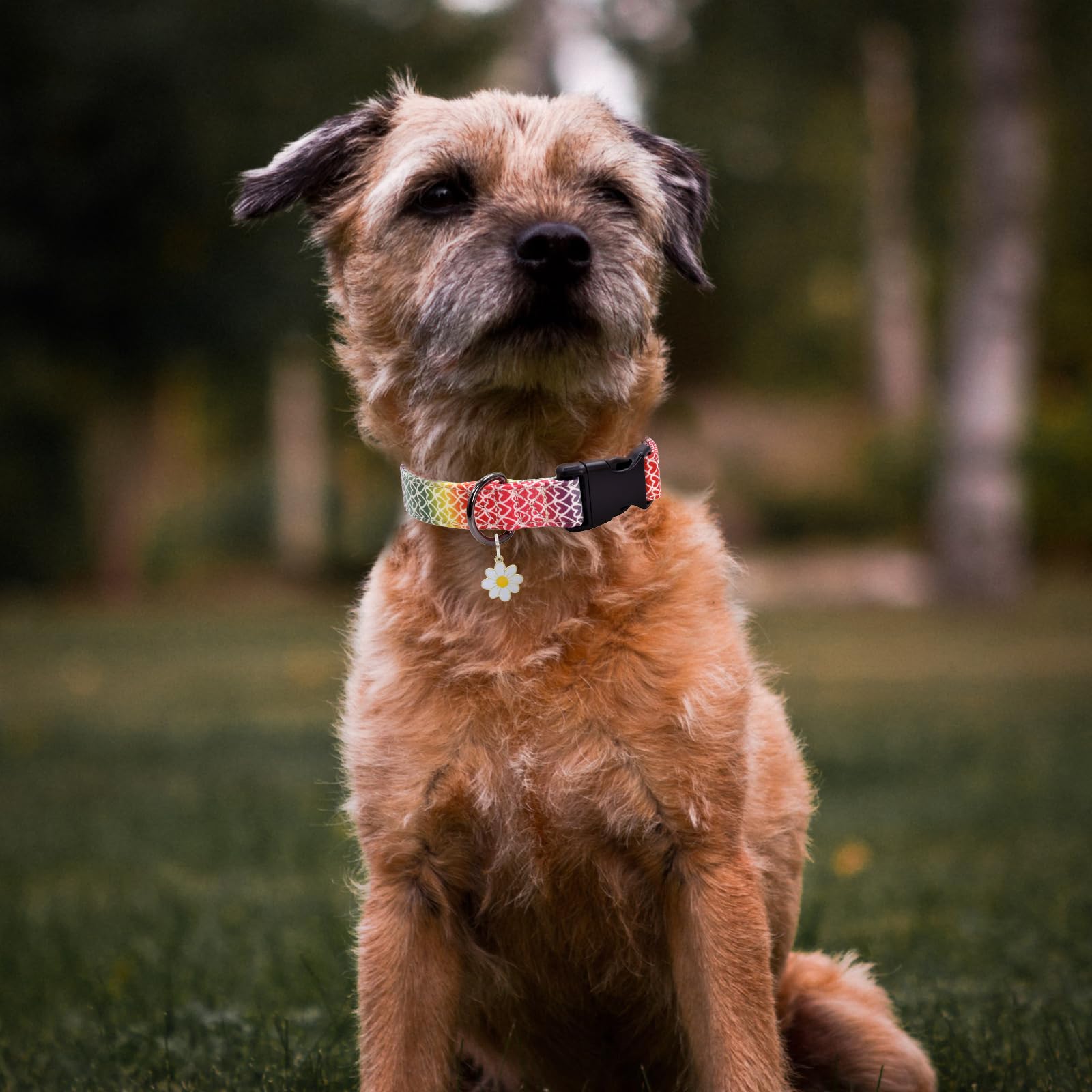 Colorful Heart Dog Collar With Pendant, Durable And Soft Cotton Dog Collars For Small Large Female And Male Dogs Pets(Heart M)