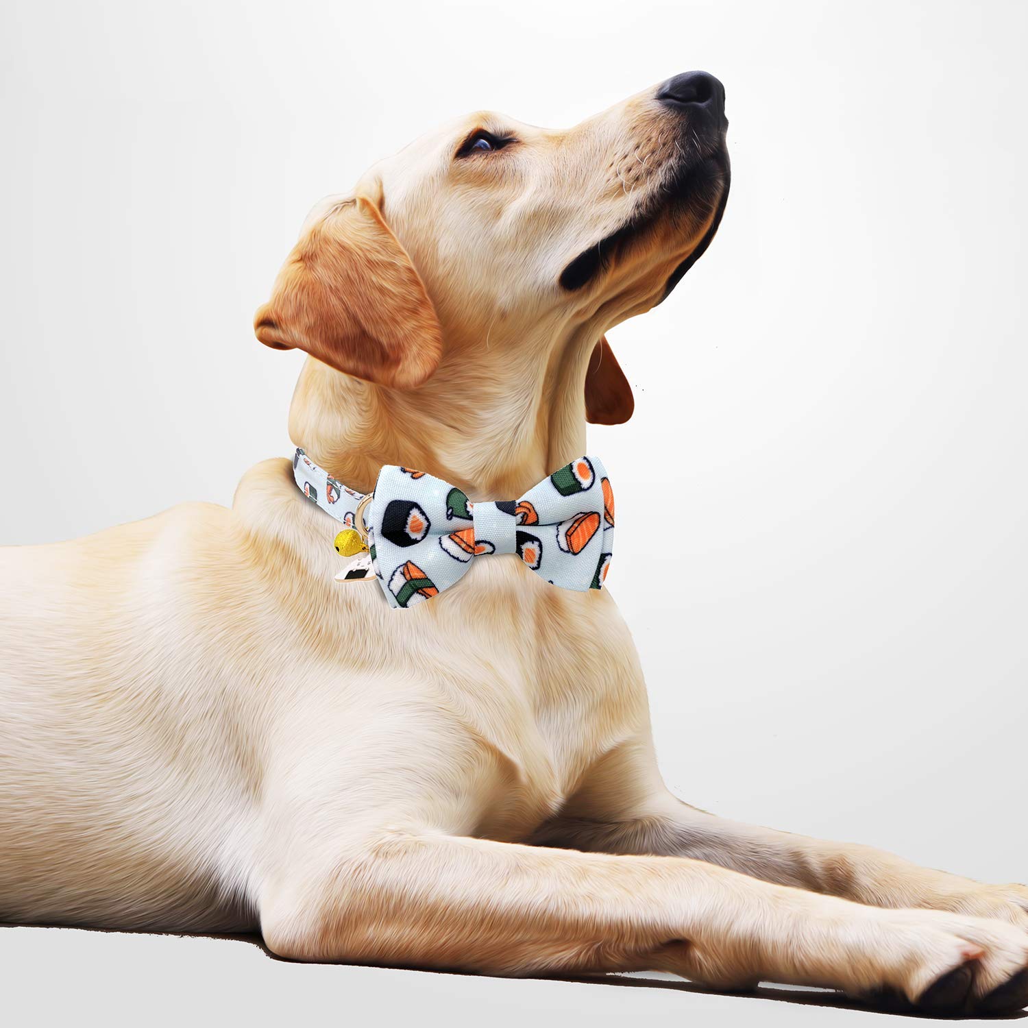 Kudes 2 Pack Print Dog Collars With Bow Tie, Adjustable Dog Collar With Bells And Charm Safety Buckle Cute Pet Collars For Small/Medium/Large Dogs And Cats Boys Girls (Hamburger+Sushi, M(12'-18'))