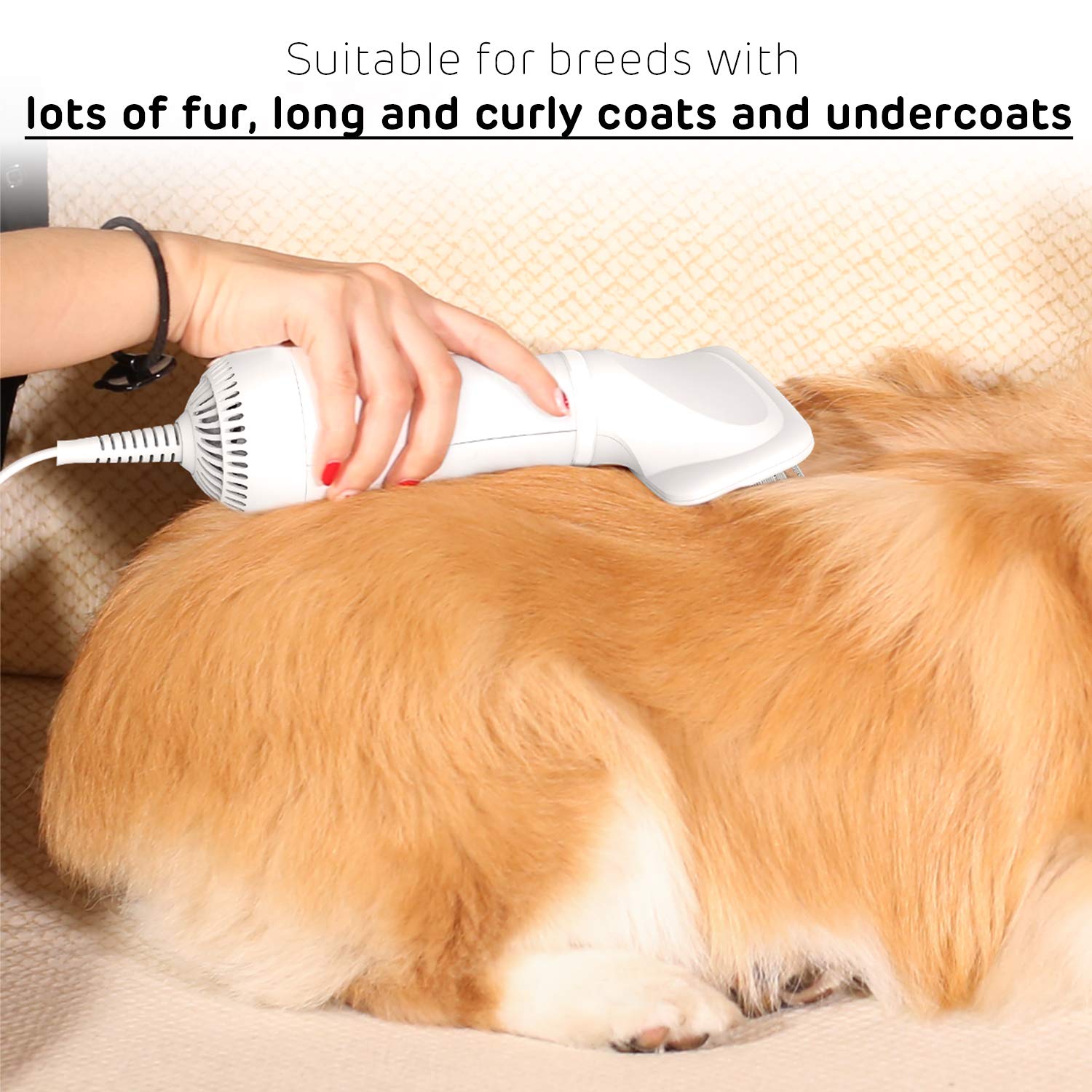 Ipettie Pet Drying Hair Dryer, Compact, Lightweight, Portable, White