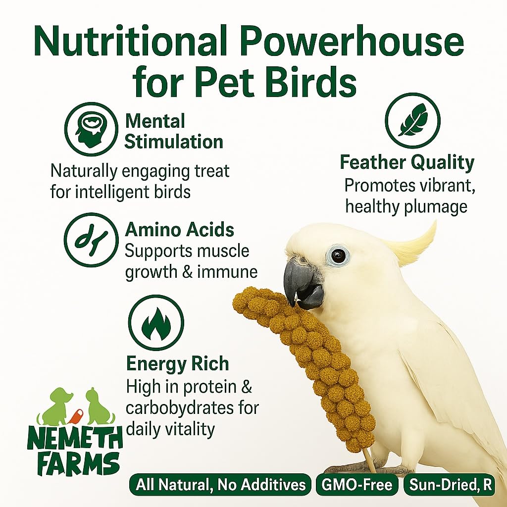 Nemeth Farms 25lbs Premium Spray Millet for Exotic Birds - Grown in The USA - 100% Natural & Non-GMO Bird Treat - Sun-Dried Mill