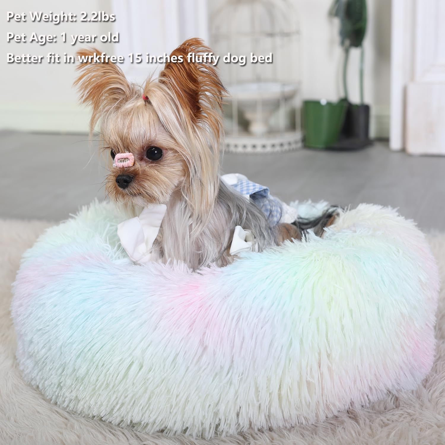 Fluffy Rainbow Dog Bed Extra Small Washable,Calming Dog Bed Rainbow for Small Dogs 15 inches Donut Soft Small Pet Bed,Anti Anxie