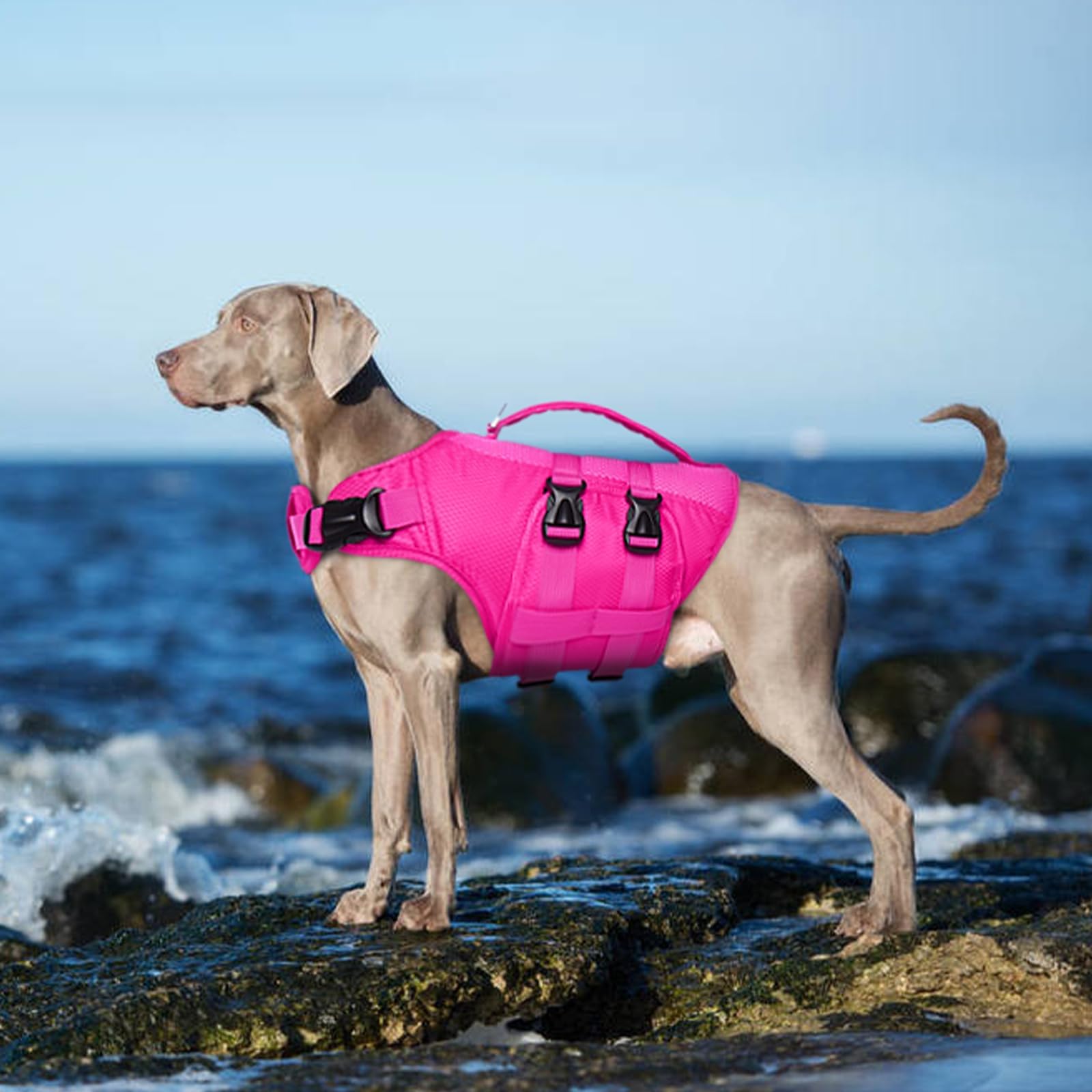 Kuoser Dog Life Jacket Xl, High Flotation Dog Water Vest For Swimming Boating, Reflective Doggie Swimming Vest Pet Life Preserve