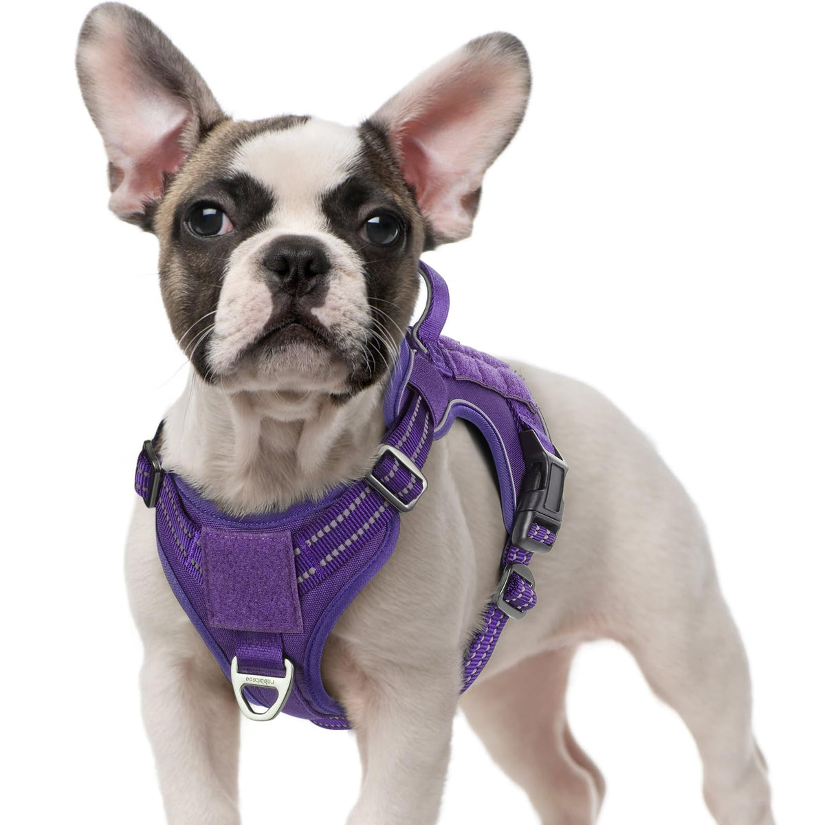 Rabbitgoo Dog Harness No Pull, Military Dog Harness For Small Dogs With Handle & Molle, Easy Control Service Dog Vest Harness Training Walking, Adjustable Reflective Tactical Pet Harness, Purple, S