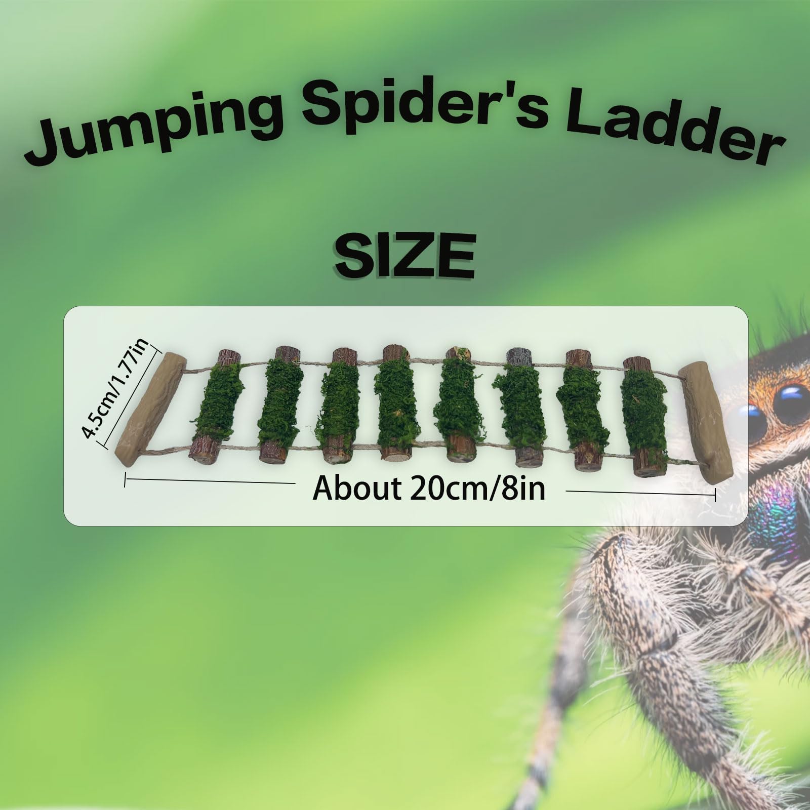 Jumping Spider Rope Bridge,A Solid Wood Climbing Suspension Bridge, A Jumping Spider Enclosure Accessory, Handmade, A Spider Jum