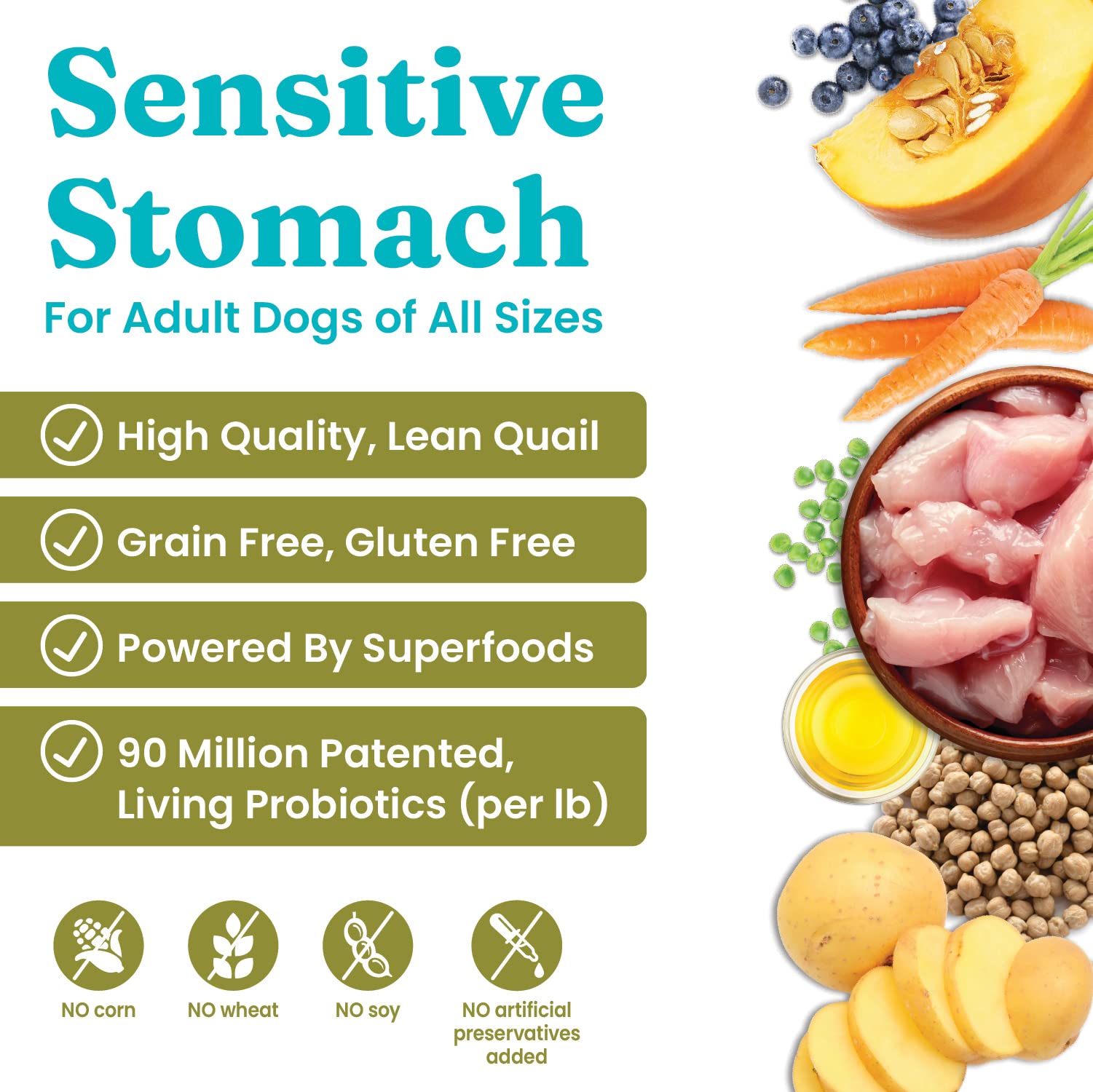Solid Gold Sensitive Stomach Dog Food for Adult & Senior Dogs - Grain Free Healthy Dog Food w/Real Quail, Pumpkin, Fiber & Probi