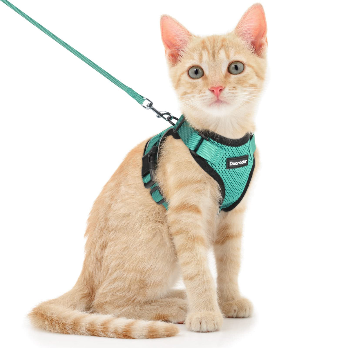 Dooradar Cat Harness And Leash Set, Escape Proof Safe Adjustable Kitten Vest Harnesses For Walking, Easy Control Soft Breathable Mesh Jacket With Reflective Strips For Cats, Green, Xs