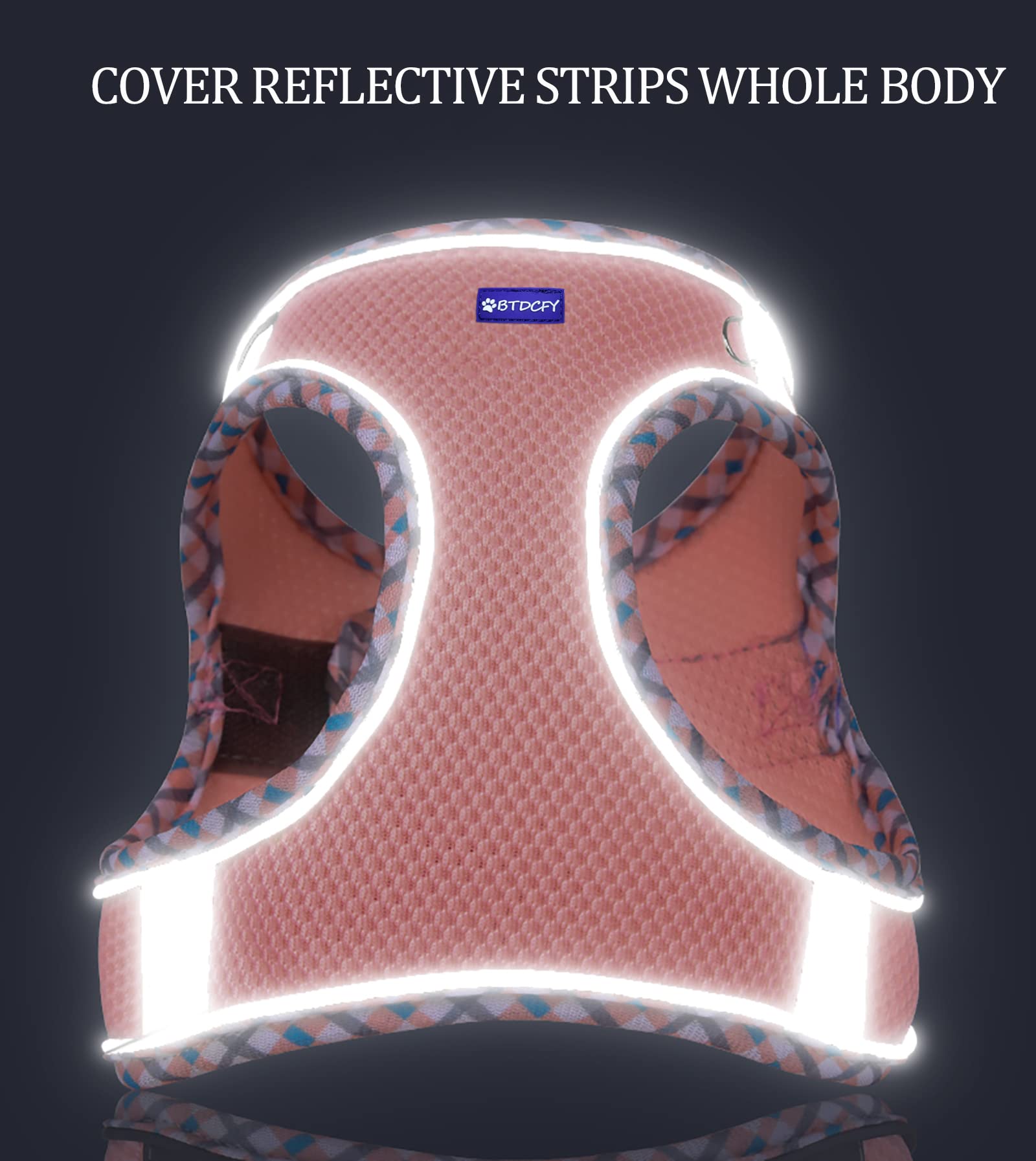 BTDCFY Step in Mesh Dog Harness and Leash Set, Breathable Air Mesh, Reflective, Escape Proof, No Choke, Lightweight, Purple, S(n