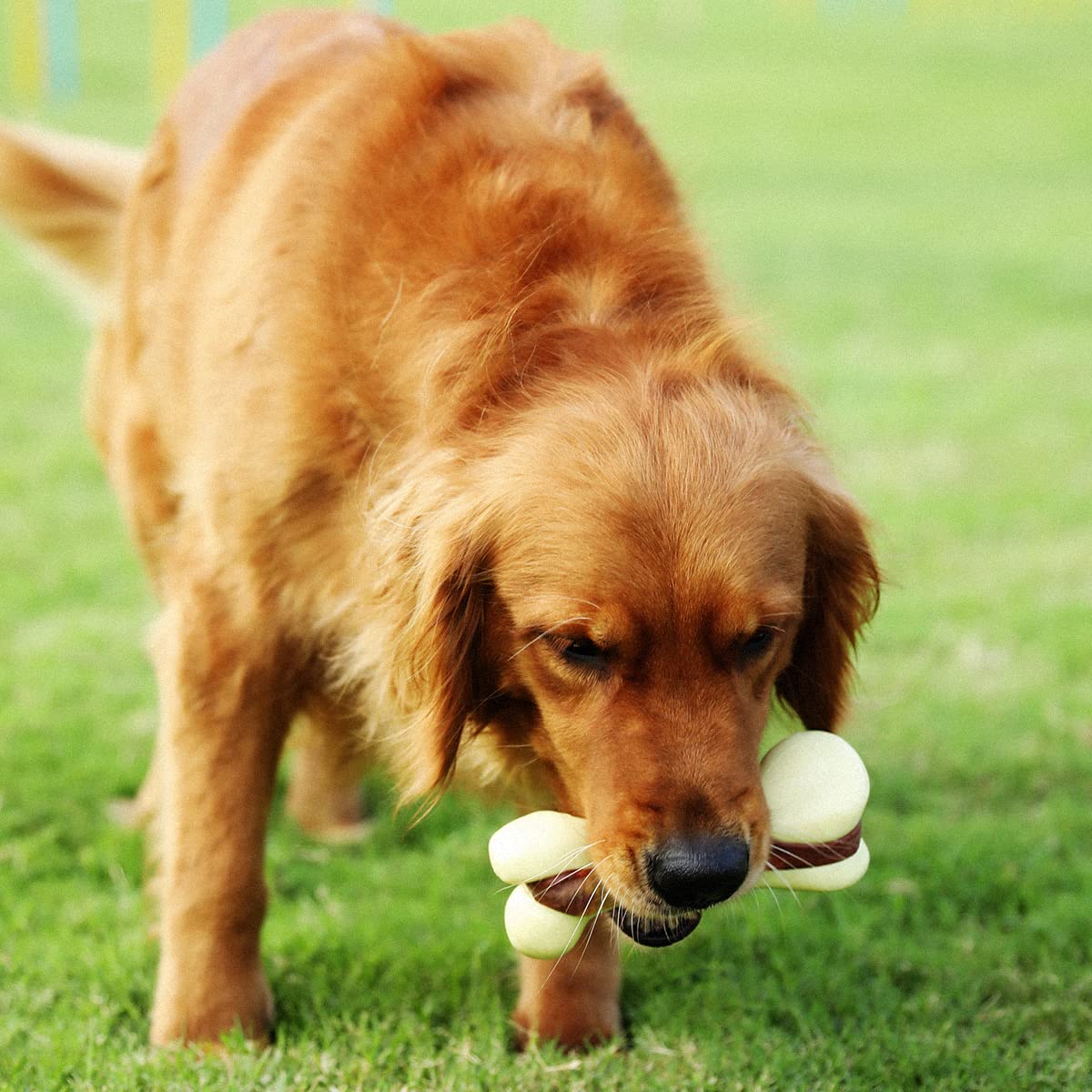 Indestructible Dog Chew Toys For Aggressive Chewers, Tikaton Bacon Flavor Durable Dog Teething Chew Toys Bones For Large Dogs