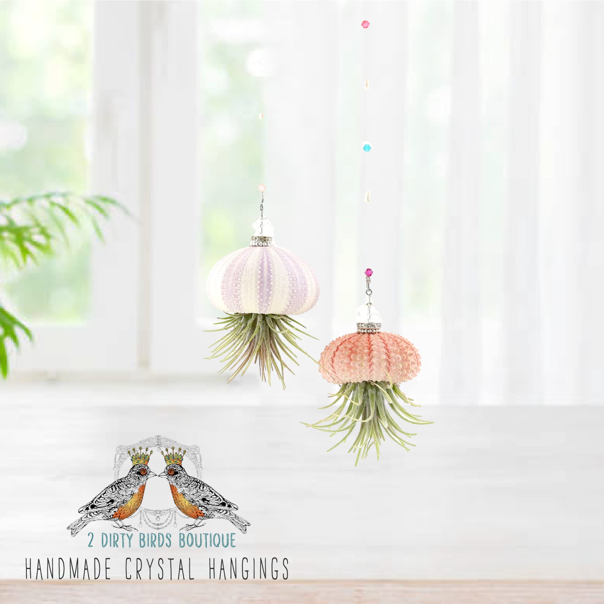 2 Dirty Birds Handmade Hanging Sea Urchin Shell, Jellyfish Live Air Plants, W/Swarovski And Freshwater Pearls, Family, Friend, G