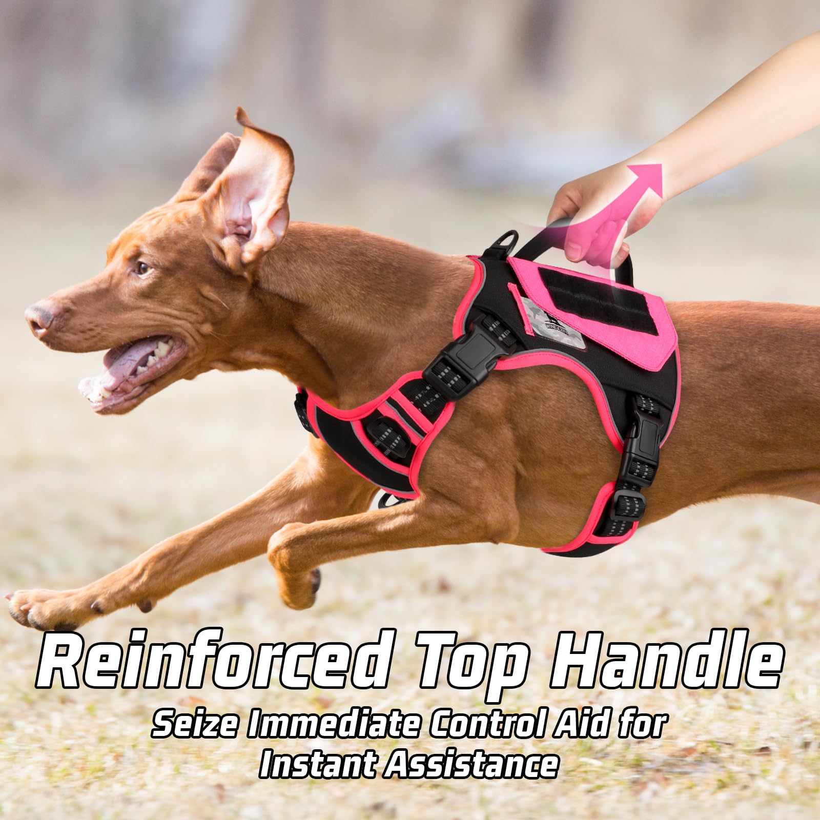 Wingoin Tactical Dog Harness For Small Dogs, No Pull Harness With Handle Pockets Poop Bag, Reflective Dog Vest, Military Service Heavy Duty Big Dog Harness For Walking Hiking Training, Black Pink, S