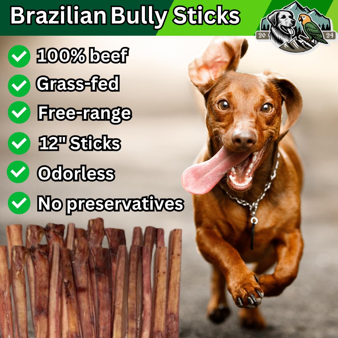 EXQUISITE PETS, LTD. 12 Bully Sticks 3lb-Bag Bulk 100% Brazilian Bull Pizzle Thick Odorless Long Lasting No Grains or Rawhide He