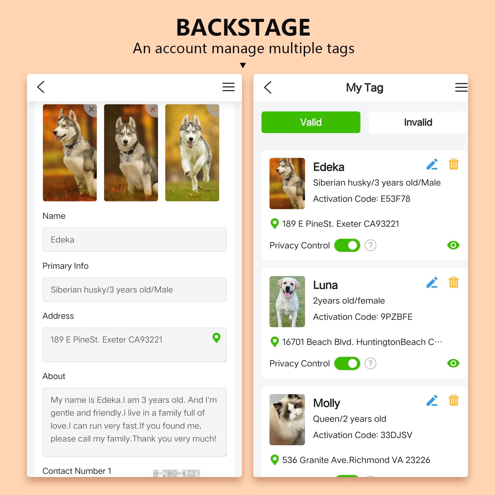 2 Pack Qr Code Pet Id Dog & Cat Tags - Personalized, Anti-Lost, No Subscription Fees (Pink & Pink, 1.2'')