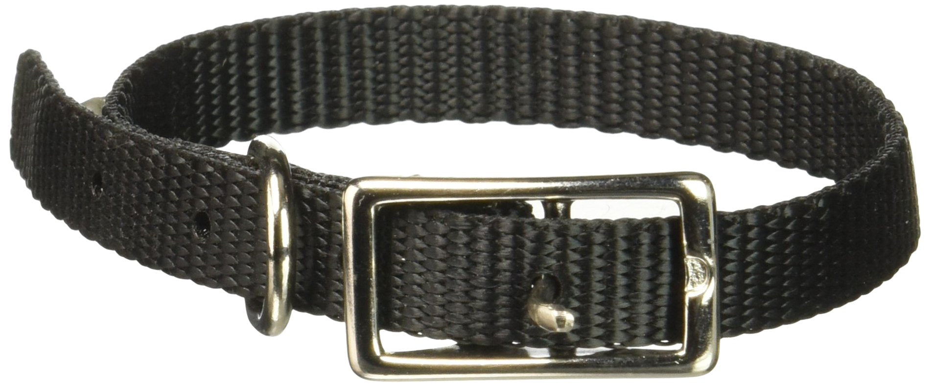 Coastal Pet Single Nylon Collar Black