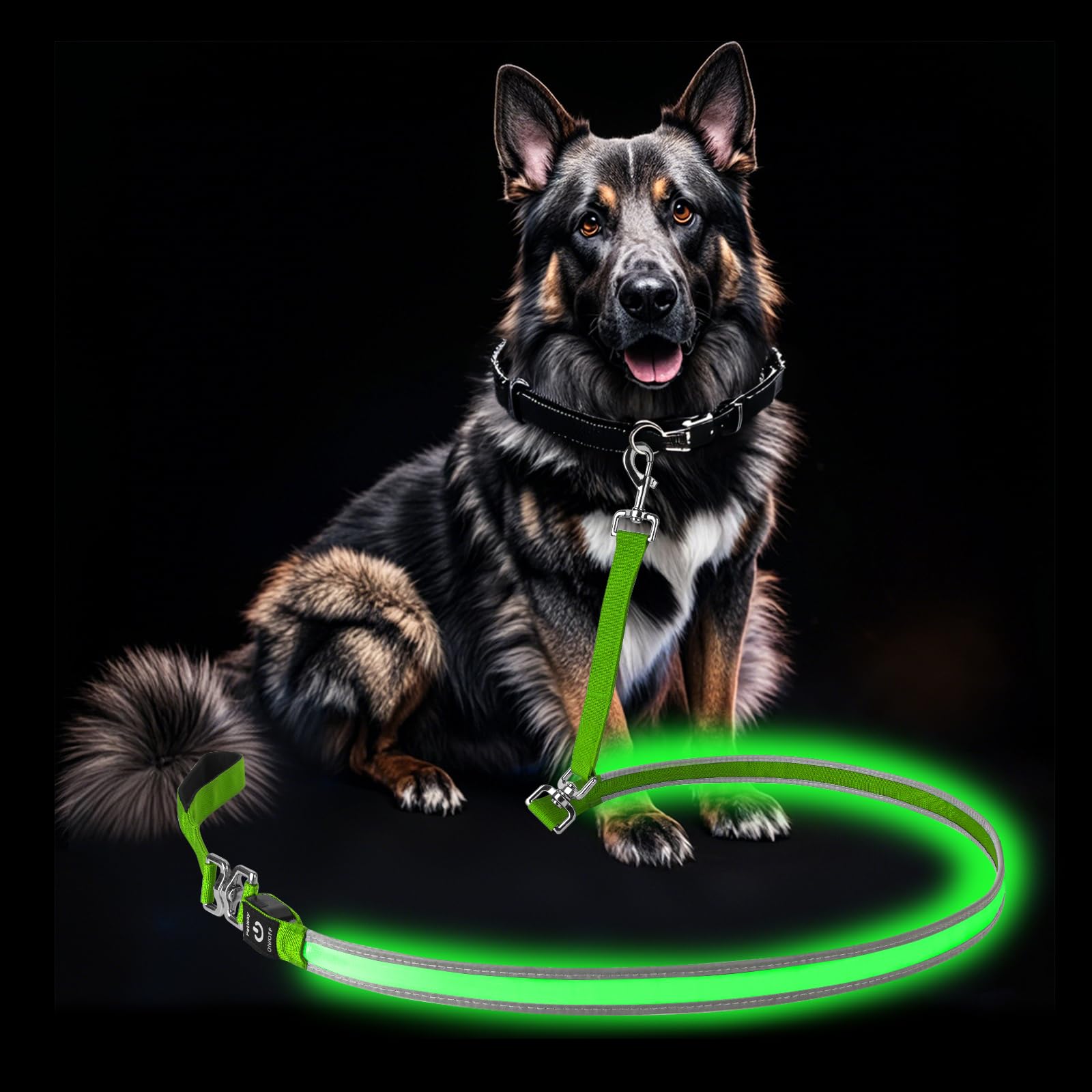 Petisay Led Dog Leash - Rechargeable, Waterproof & Reflective, 6Ft Tangle-Free For Night Walking(Green)