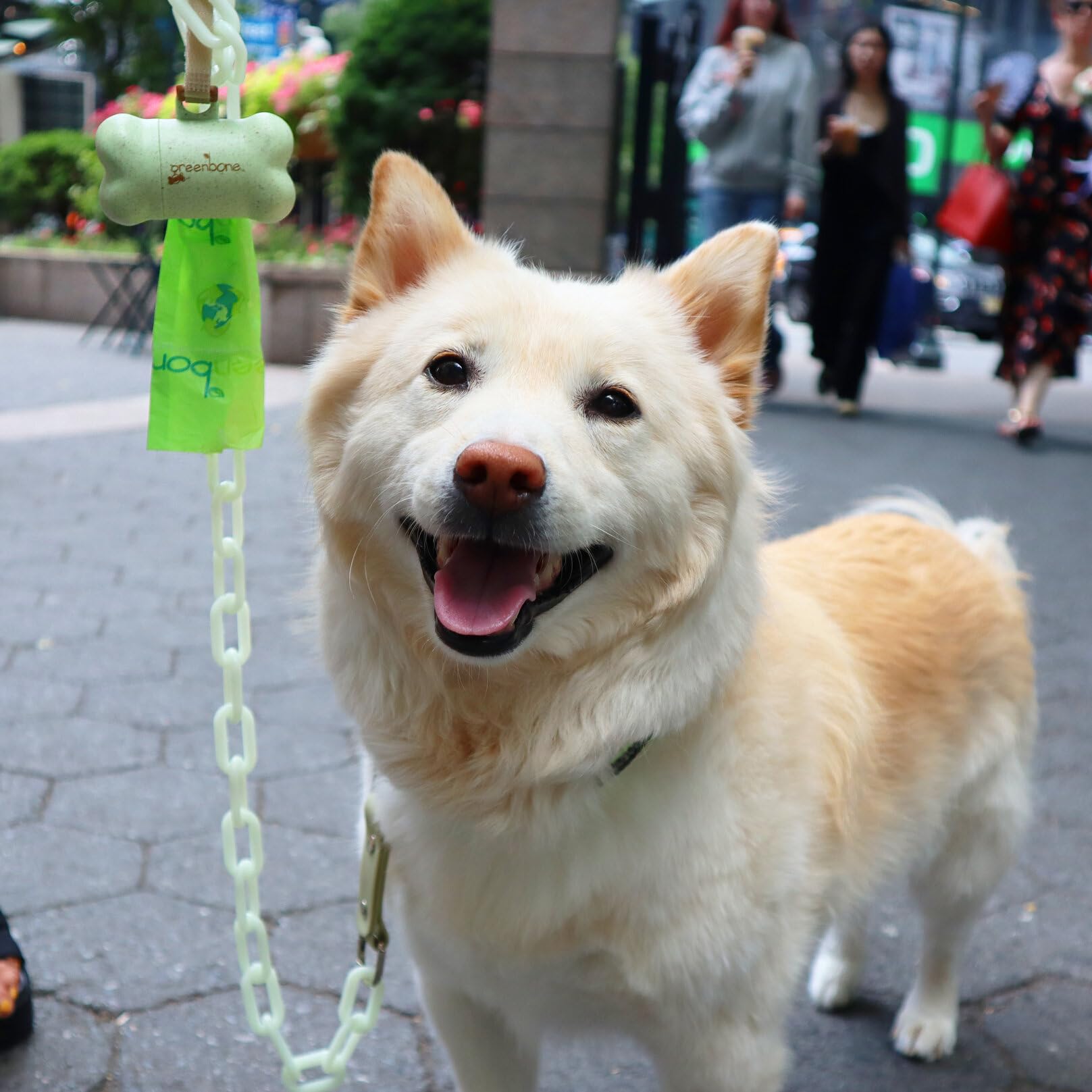 Greenbone Biobase Pet Poop Bags - 12 Rolls, 144 Bags - 13 Inch X 9 Inch