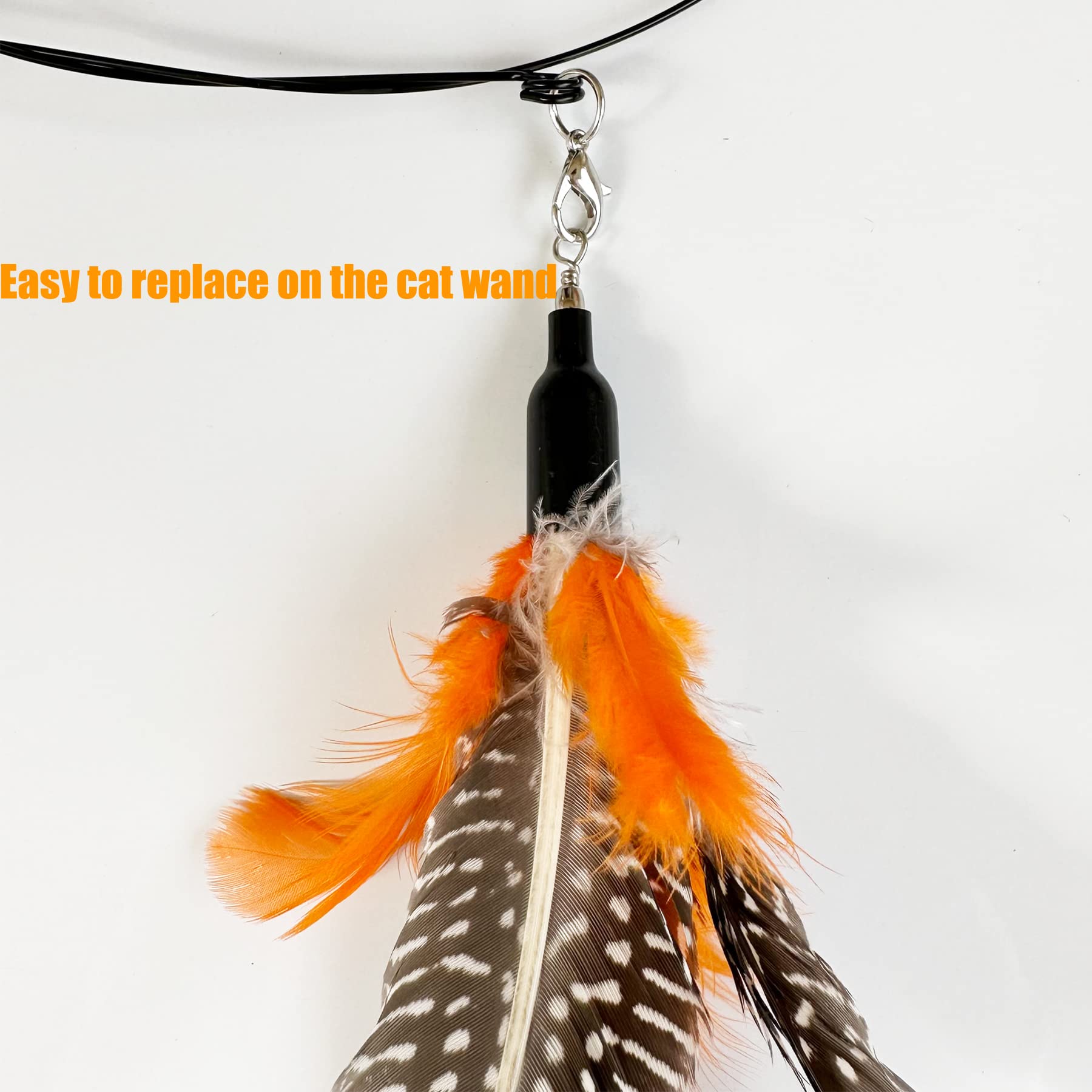 Cateneed Cat Feather Toys Refill, 6 Pieces Cat Wand Attachments Da Bird Feathers Toy For Indoor Cats