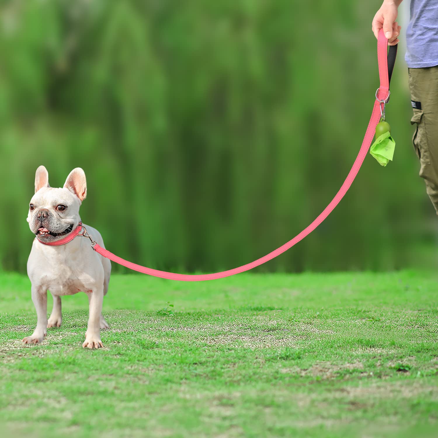 Joytale Double-Sided Reflective Dog Leash, 6 Ft/5 Ft/4 Ft, Padded Handle Nylon Dogs Leashes For Small & Medium Dogs Walking, Pink, 5Ft