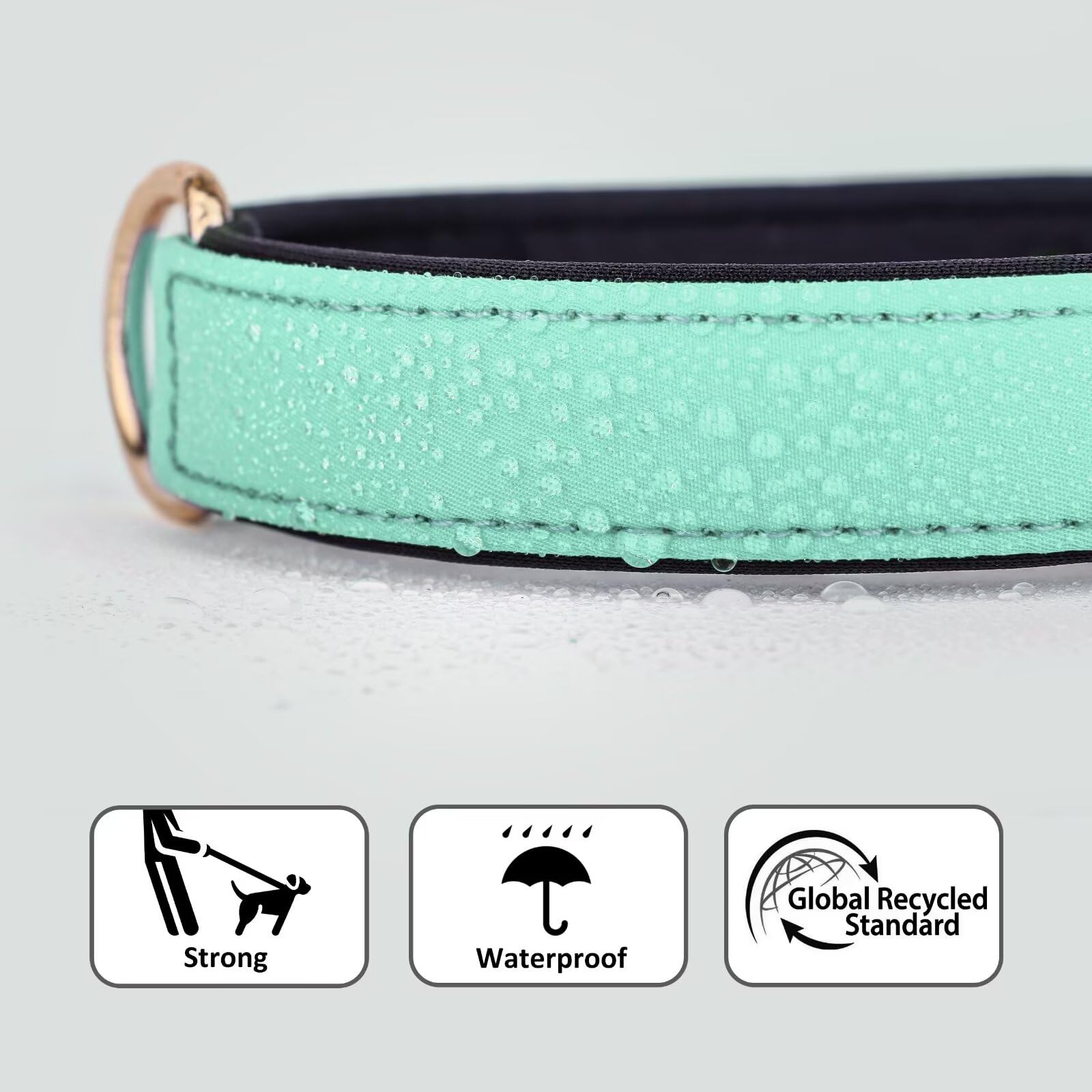 Didog Soft Padded Dog Collars For Small Dogs, Lightweight And Breathable Dog Collar Waterproof With Metal Buckle For Puppy, Gree
