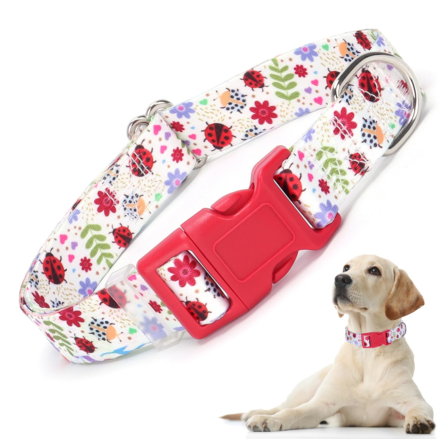 Cute Dog Collar With Girl Boy, Adjustable Nylon Comfy Soft Durable Pet Collar For Xs Small Medium Large Extra Large Dog(M