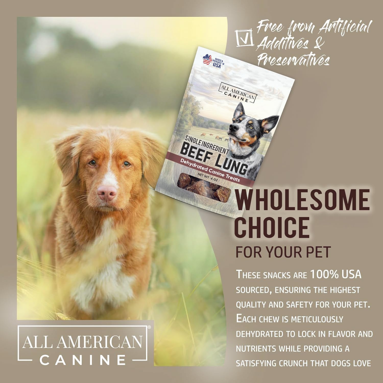 All American Canine Beef Lung Dog Treats 4oz - Single Ingredient, Dehydrated High Protein Low FatTraining Snacks - All Natural a