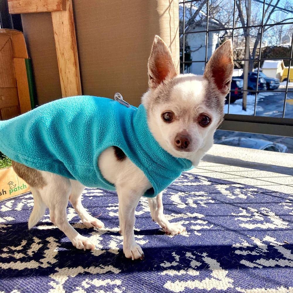 Gooby Fleece Vest Dog Sweater - Turquoise, X-Large - Warm Pullover Fleece Dog Jacket with O-Ring Leash - Winter Small Dog Sweate