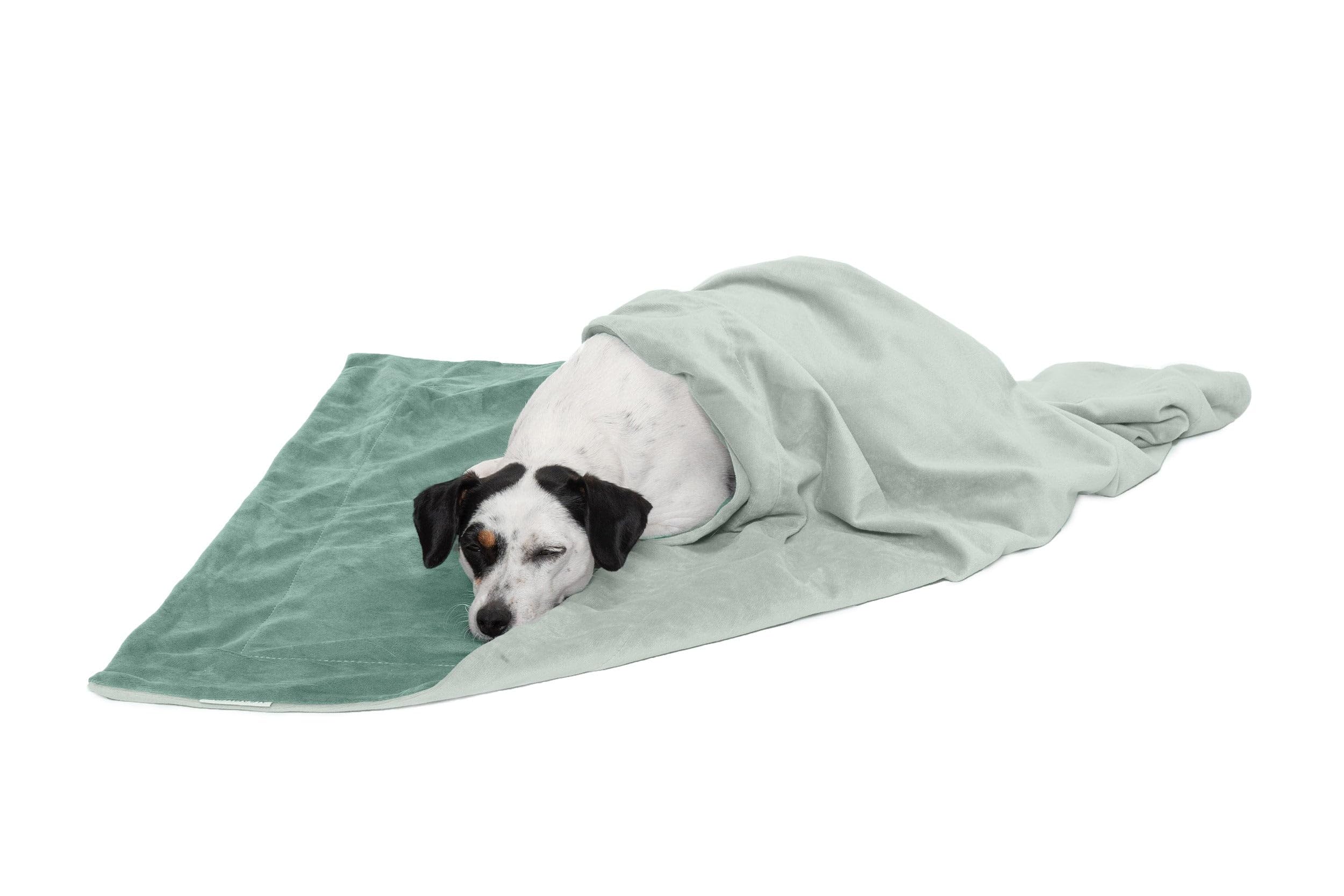 Furhaven Waterproof Throw Blanket For Dogs & Indoor Cats, Washable - Two-Tone Luxe Velvet Dog Blanket - Celadon Green, Medium