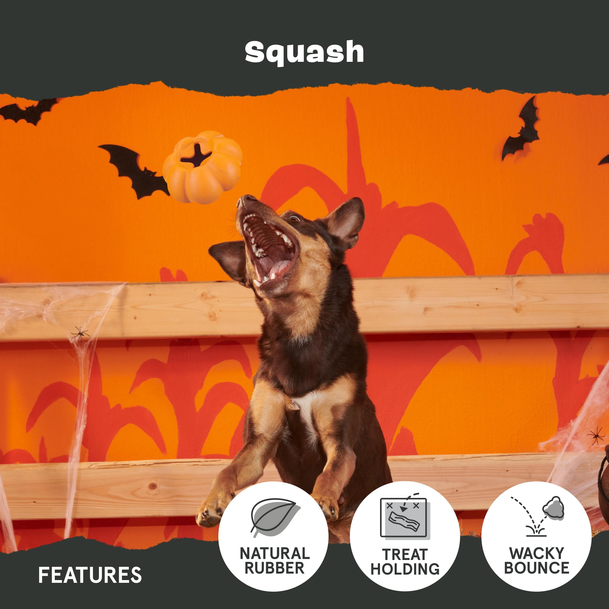 Barkbox Squash Dog Toy | Natural Rubber, Treat Dispensing, Cream Scented & Fun Wobble Design | Dog Toy For Aggressive Chewers